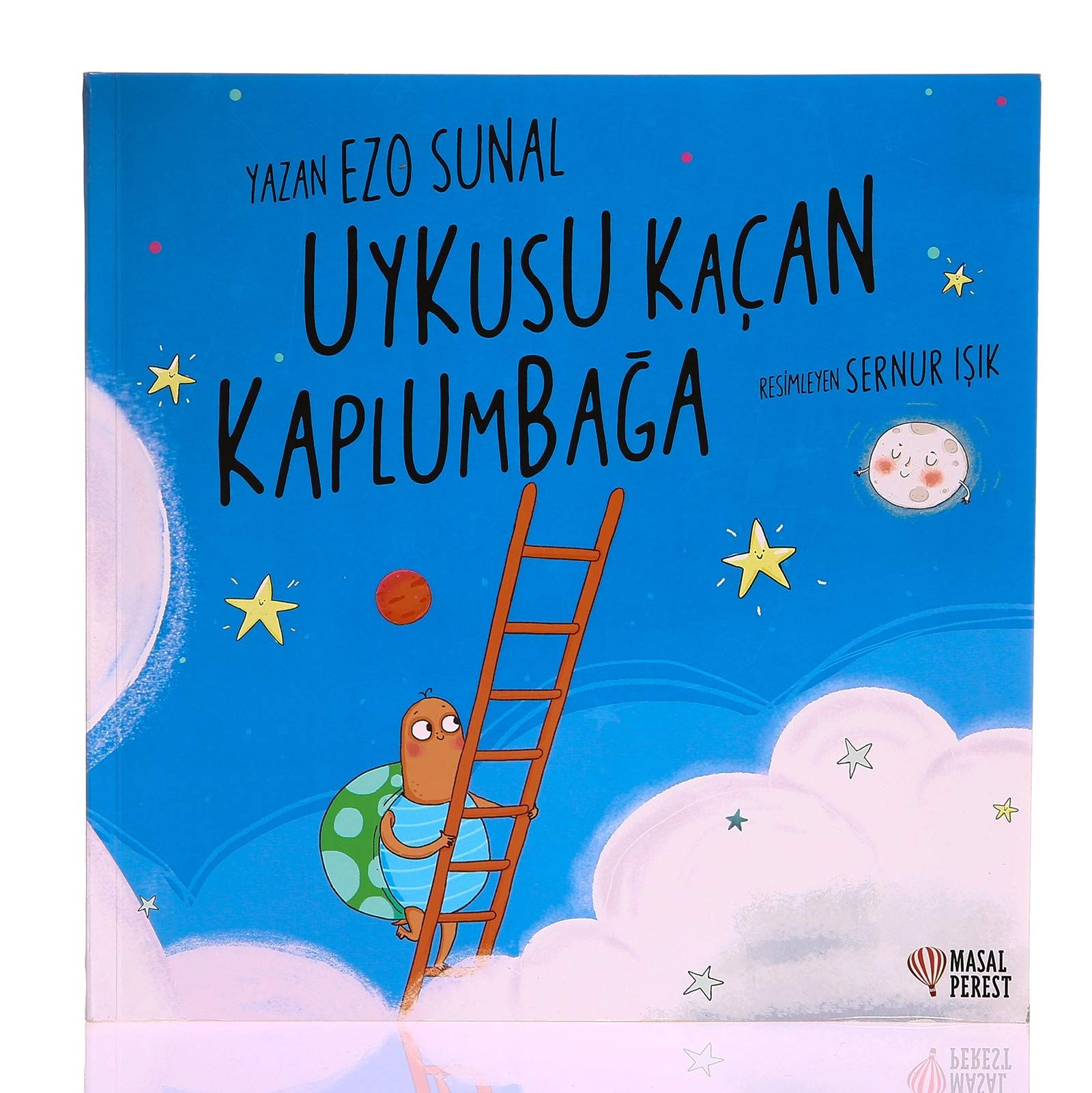 Uykusu Kacan Kaplumbaga Contemporary literature