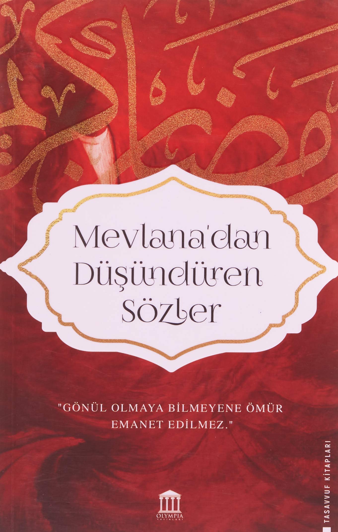 Mevlana'dan Düsündüren Sözler book
