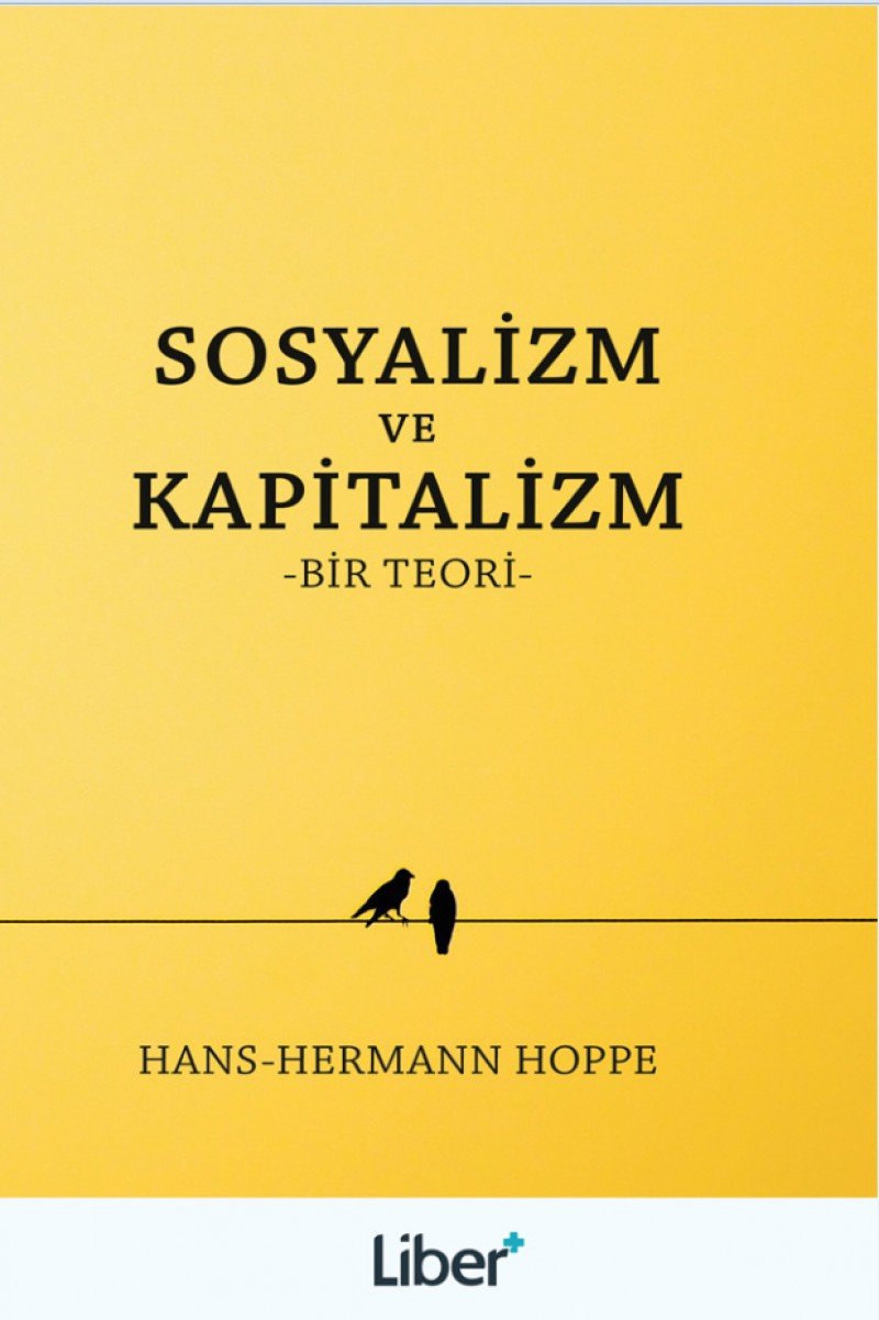 Sosyalizm ve Kapitalizm: Bir Teori Politics & History