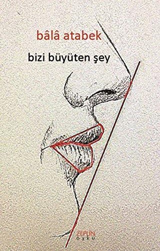 Bizi Büyüten Şey book