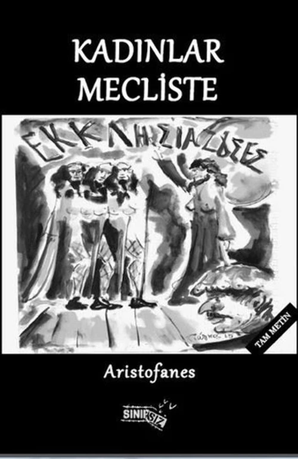 Kadınlar Mecliste: Tam Metin Film, Art & Culture