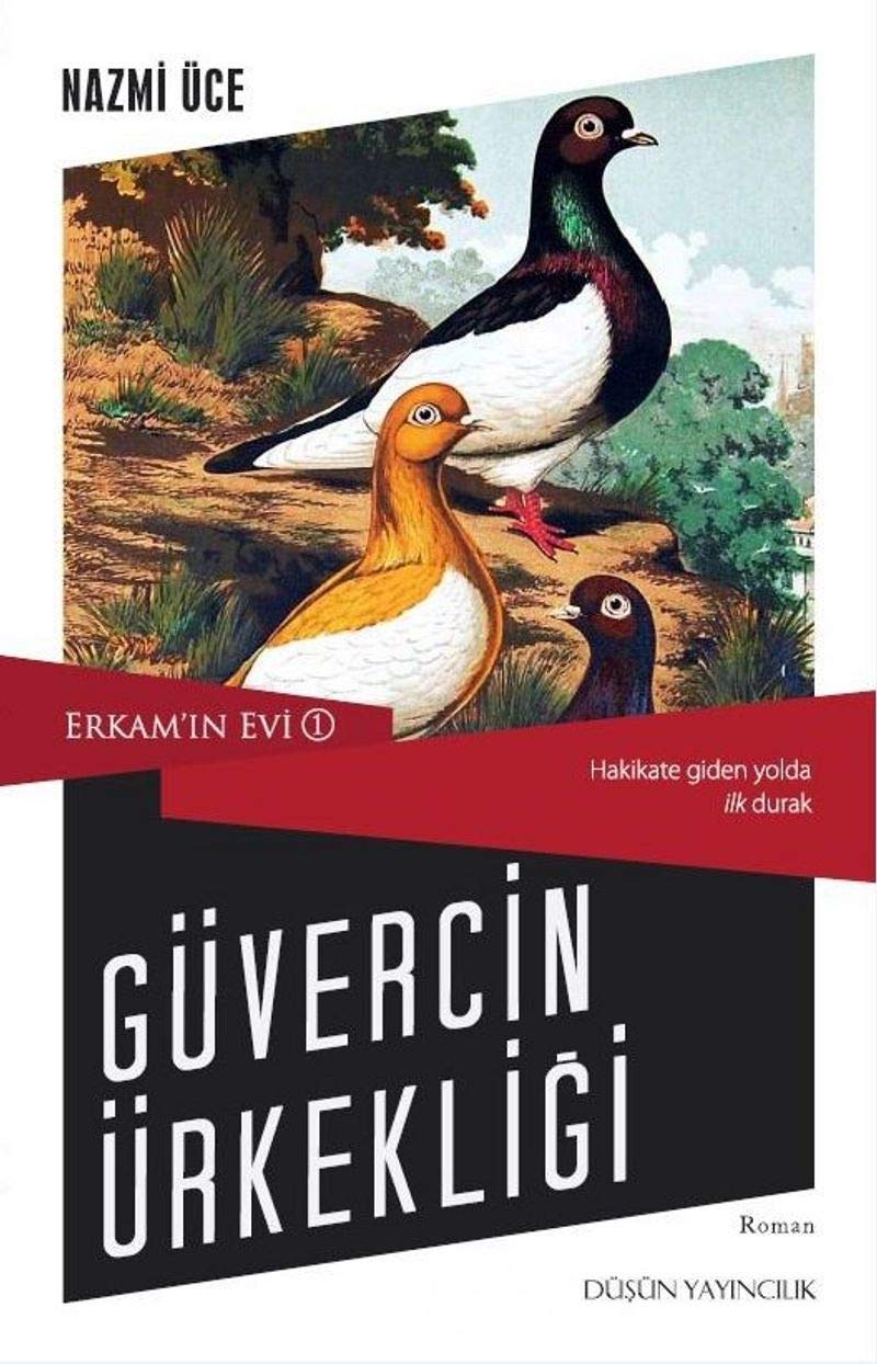 Güvercin Ürkekligi - Erkamin Evi 1 book