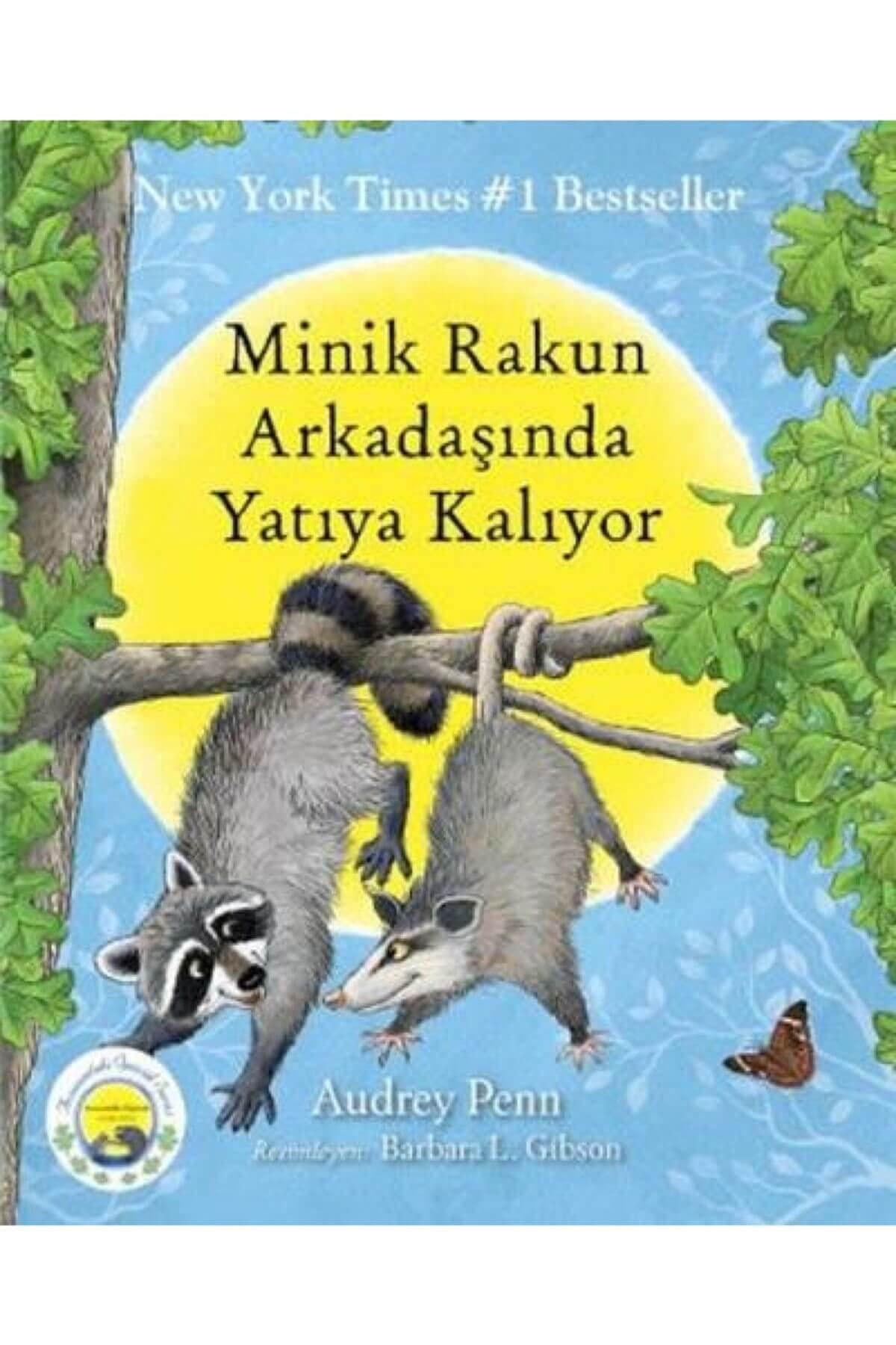 Minik Rakun Arkadasinda Yatiya Kaliyor Fairy Tales & Legends
