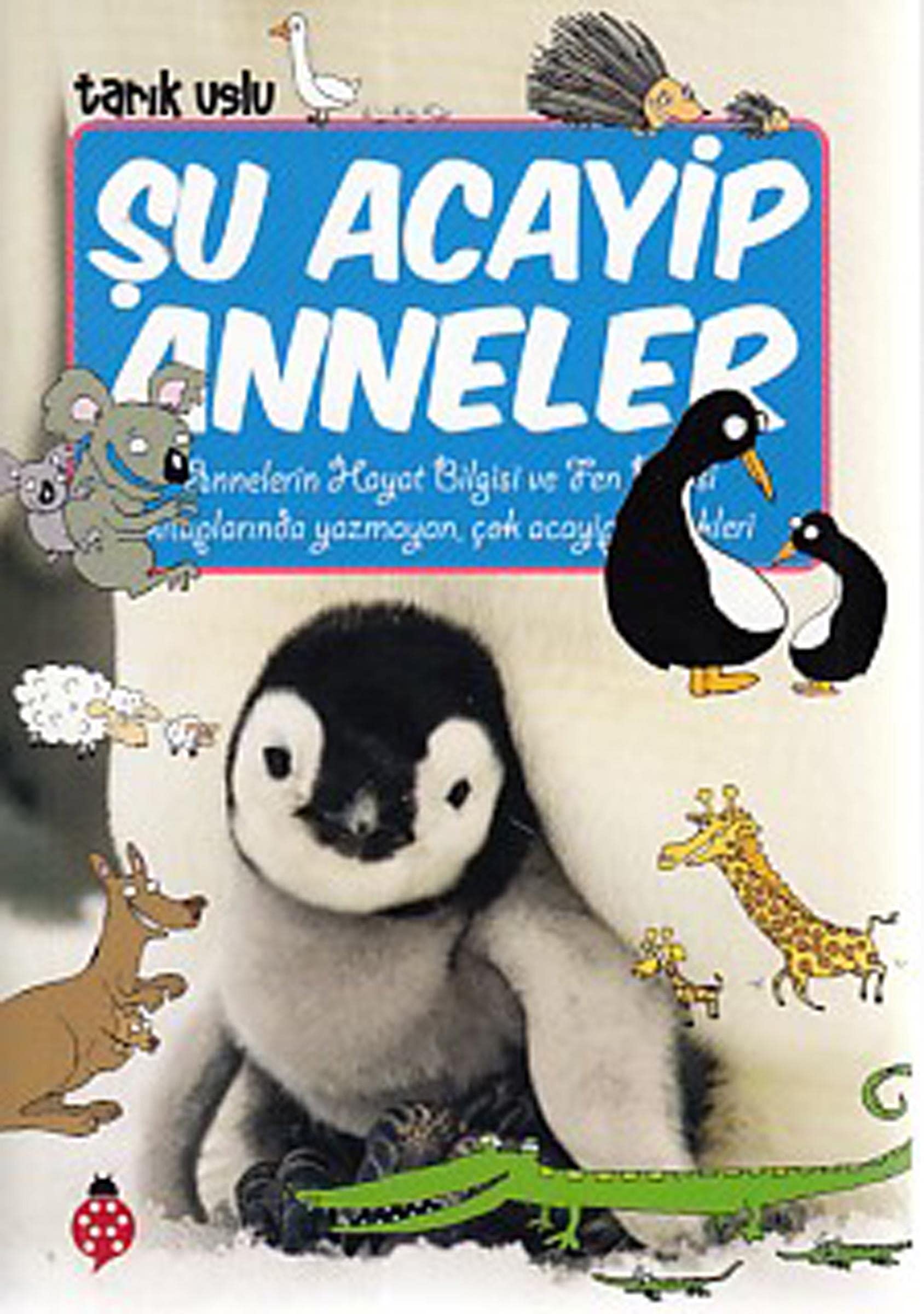 Product Image: Su Acayip Anneler