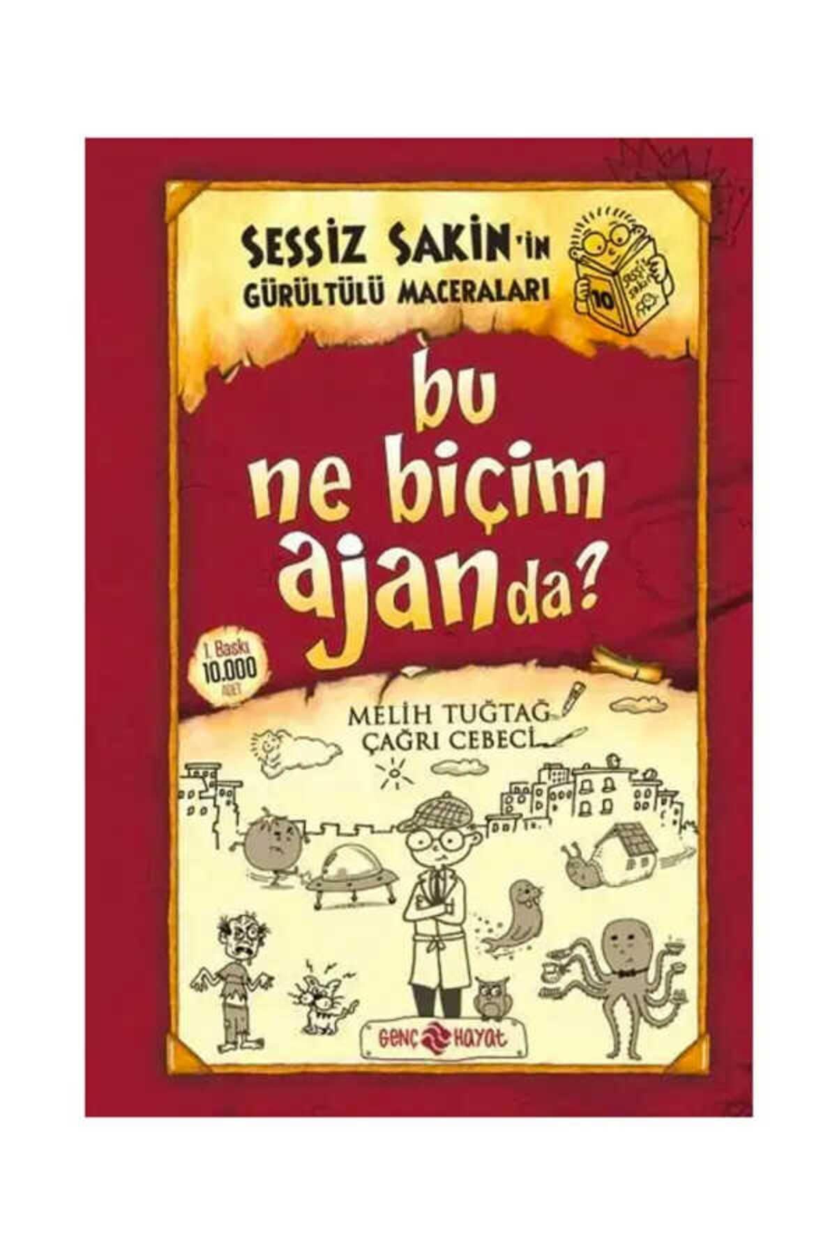 Bu Ne Bicim Ajanda: Sessiz Sakinin Gürültülü Maceralari 10 Fairy Tales & Legends