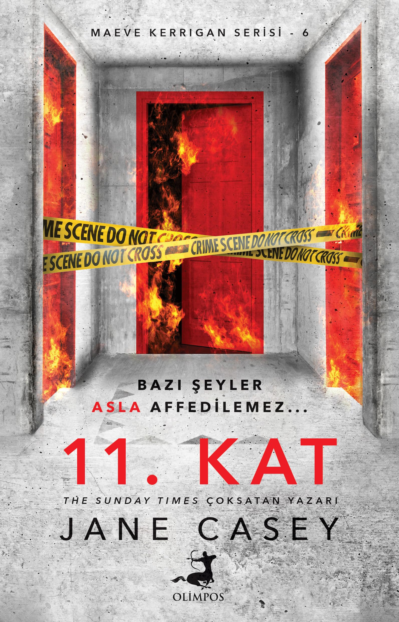 11. Kat: Bazı Şeyler Asla Affedilemez... Contemporary literature