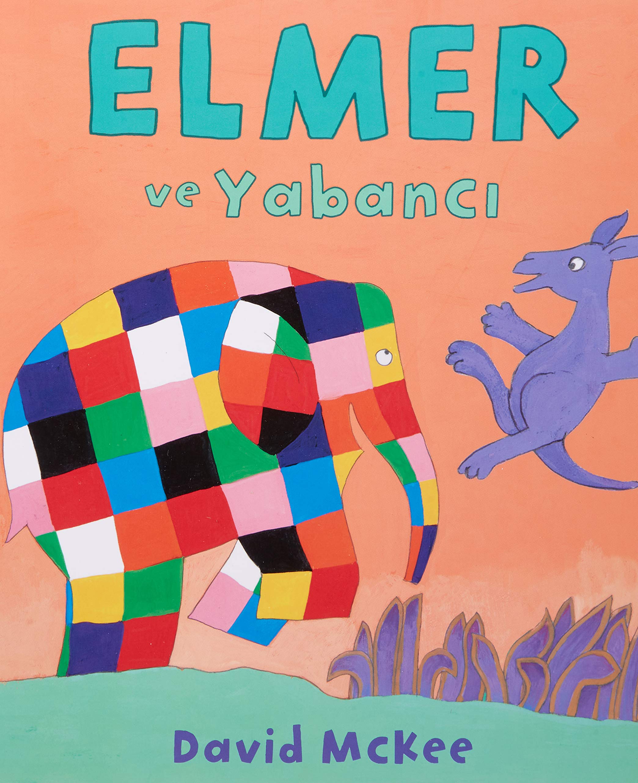 Elmer ve Yabanci Contemporary literature Books