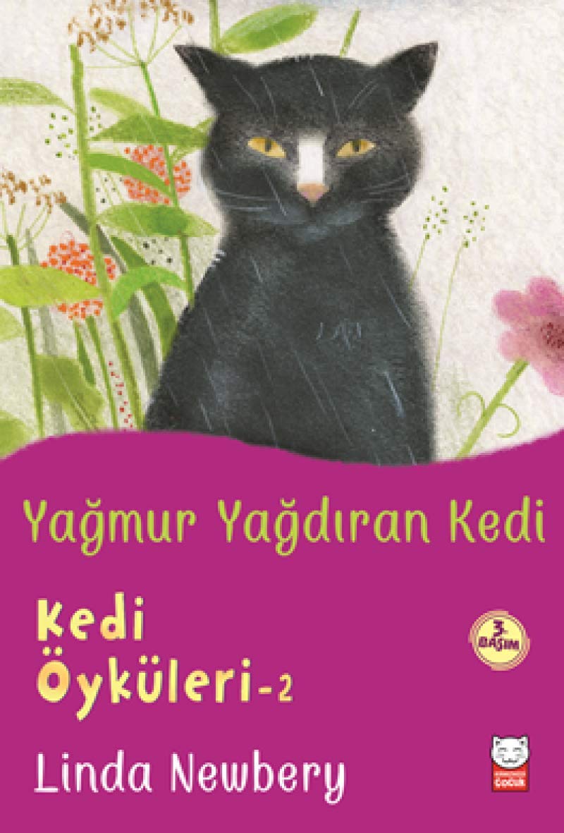 Yağmur Yağdıran Kedi: Kedi Öyküleri 2 Contemporary literature