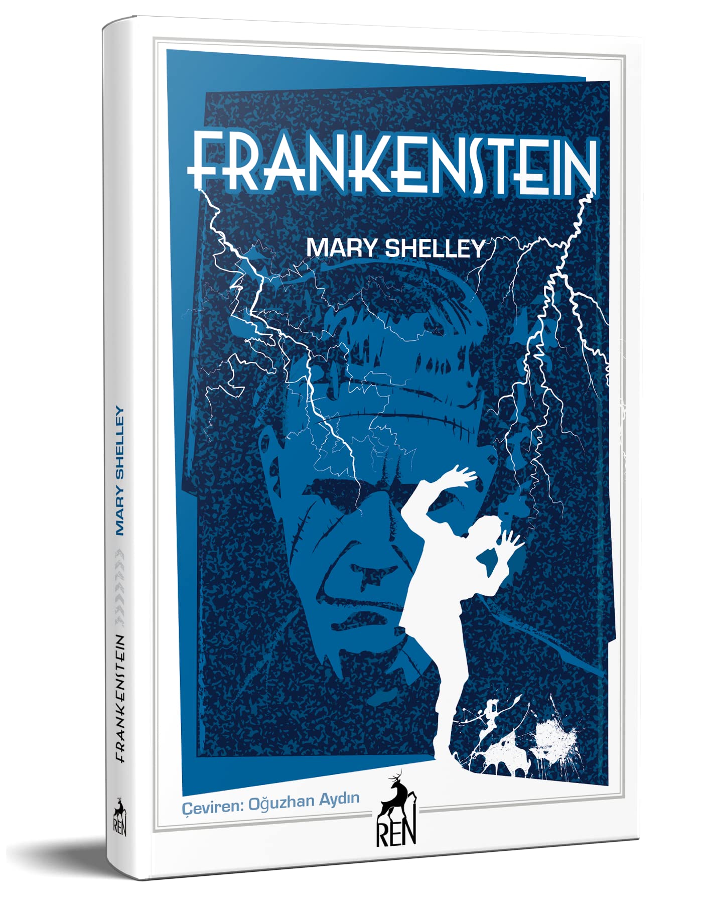 Frankenstein book