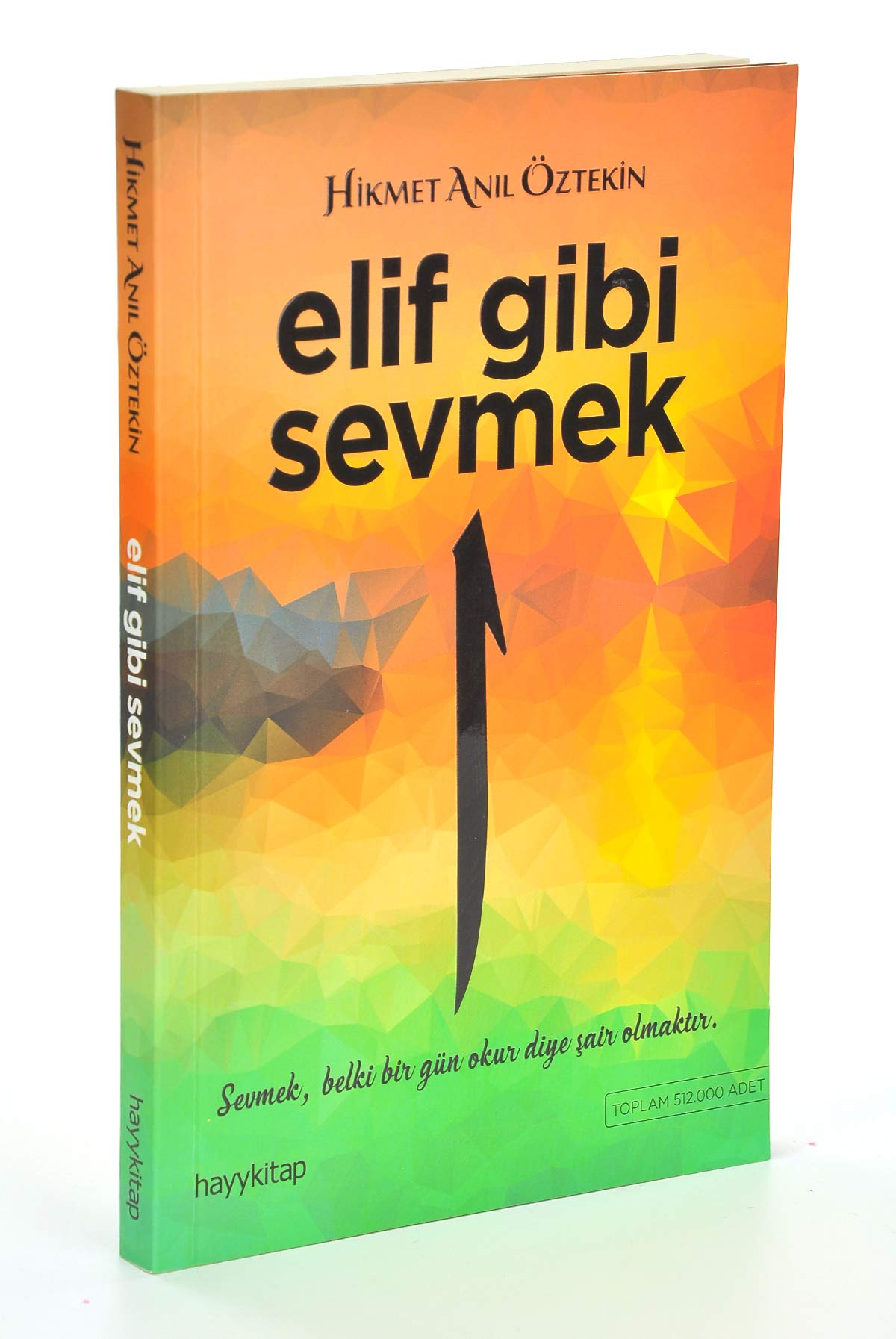 Elif Gibi Sevmek: Sevmek, belki bir gün okur diye şair olmaktır. Contemporary literature