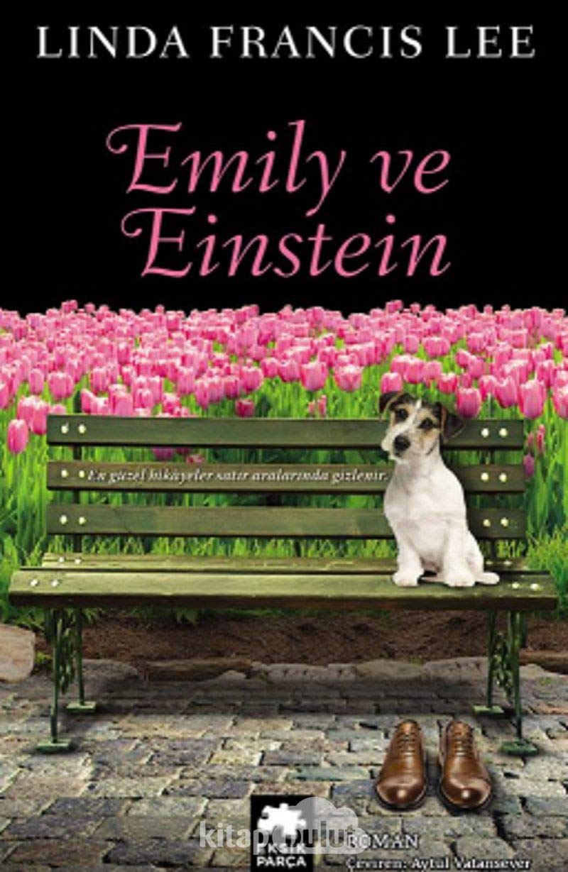 Emily Ve Einstein Books