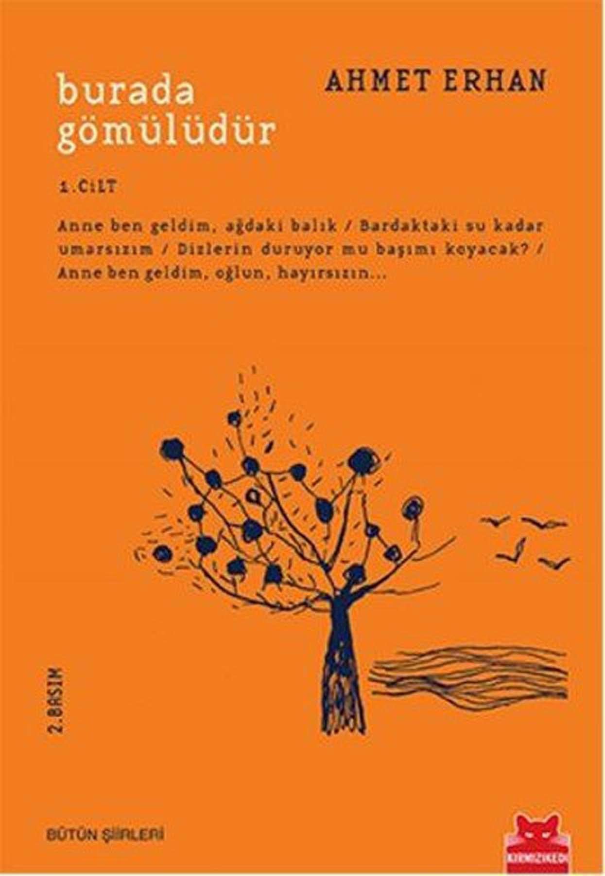 Burada Gömülüdür 1. Cilt book
