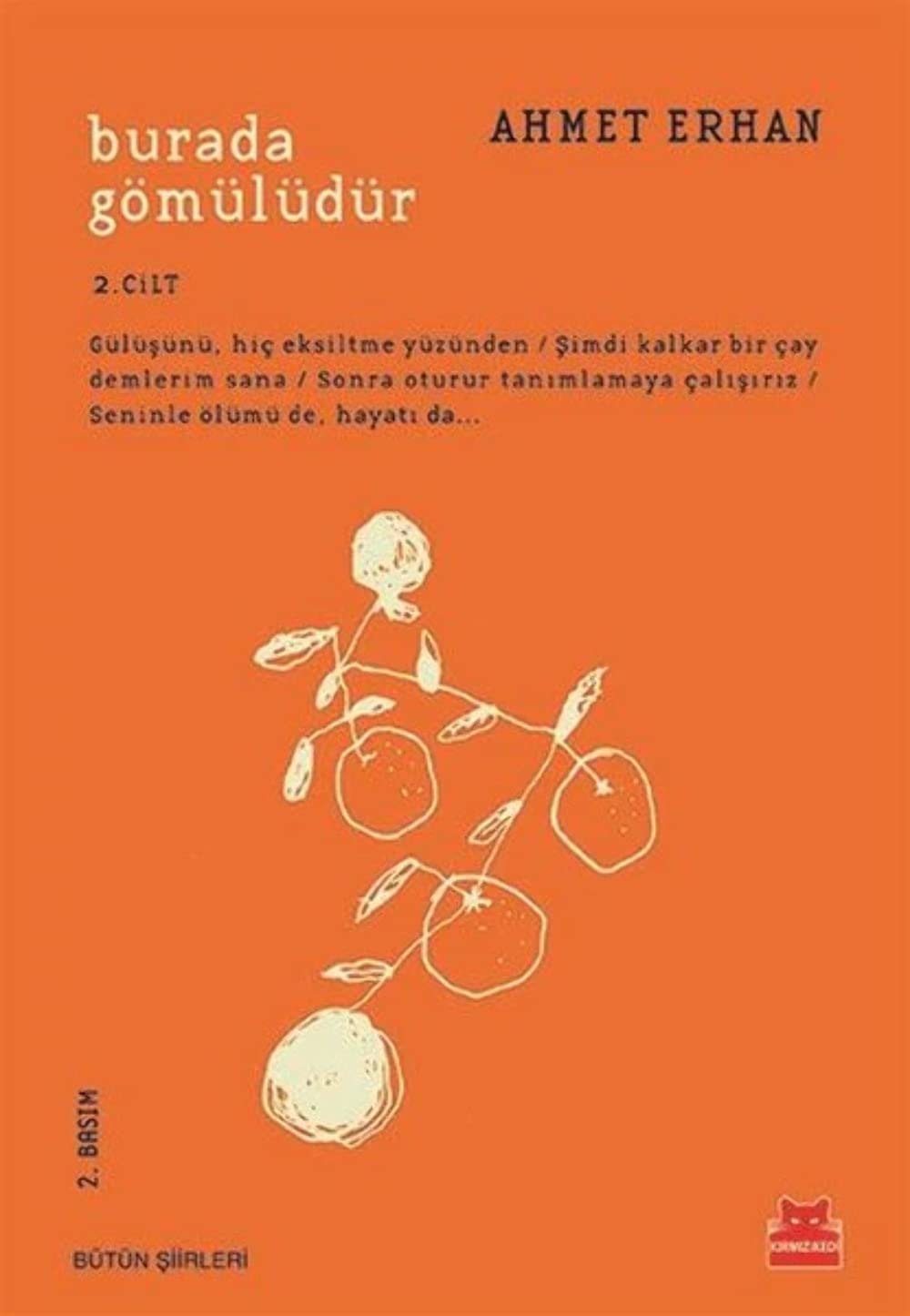 Burada Gömülüdür 2. Cilt Poetry