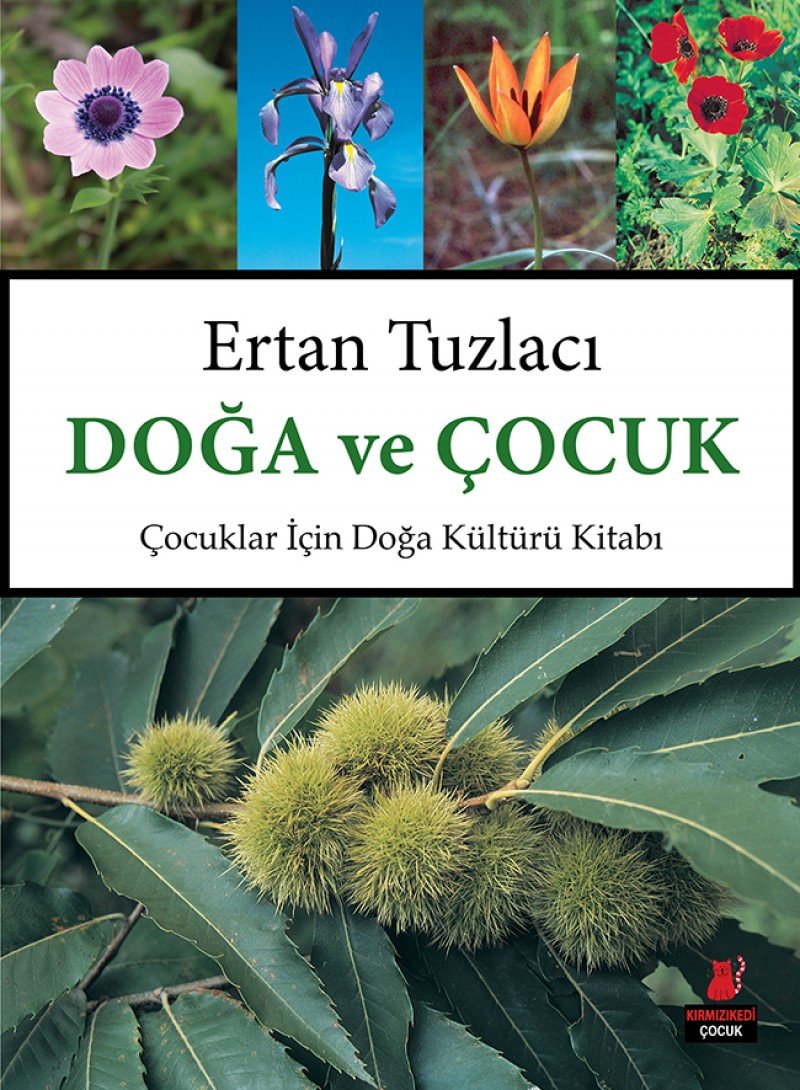 Doga ve Cocuk: Cocuklar Icin Doga Kültürü Kitabi: Çocuklar İçin Doğa Kültürü Kitabı Social Sciences