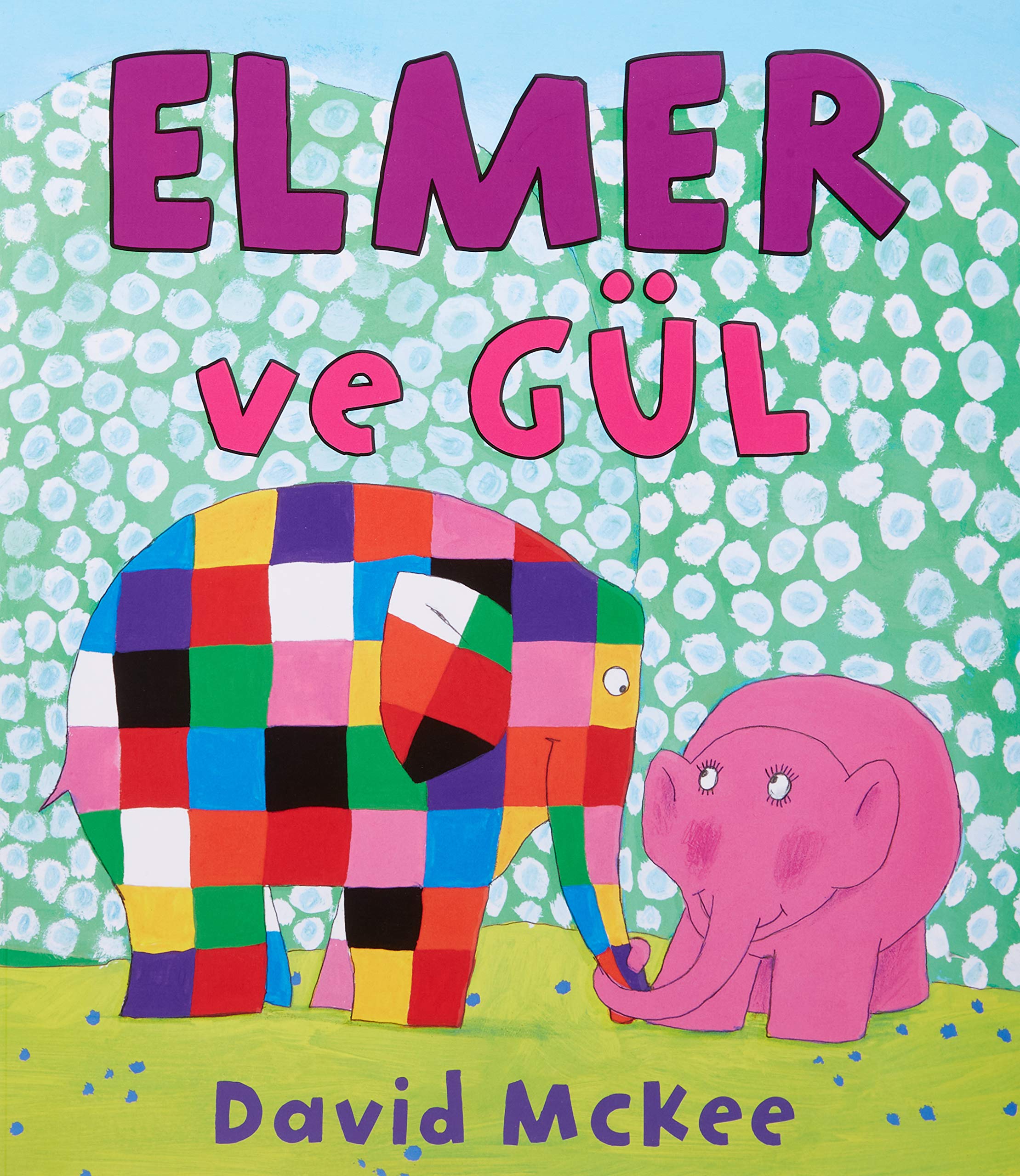 Elmer ve Gül Contemporary literature Books