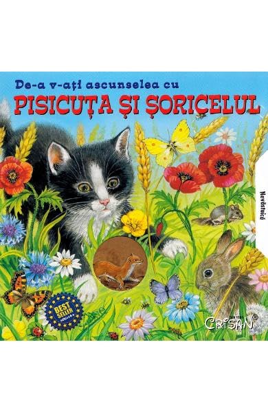De-A V-Ati Ascunselea Cu Pisicuta Si Soricelul book