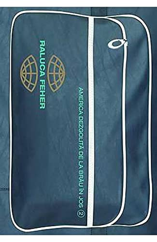 AMERICA DEZGOLITA DE LA BRAU IN JOS 2 Books