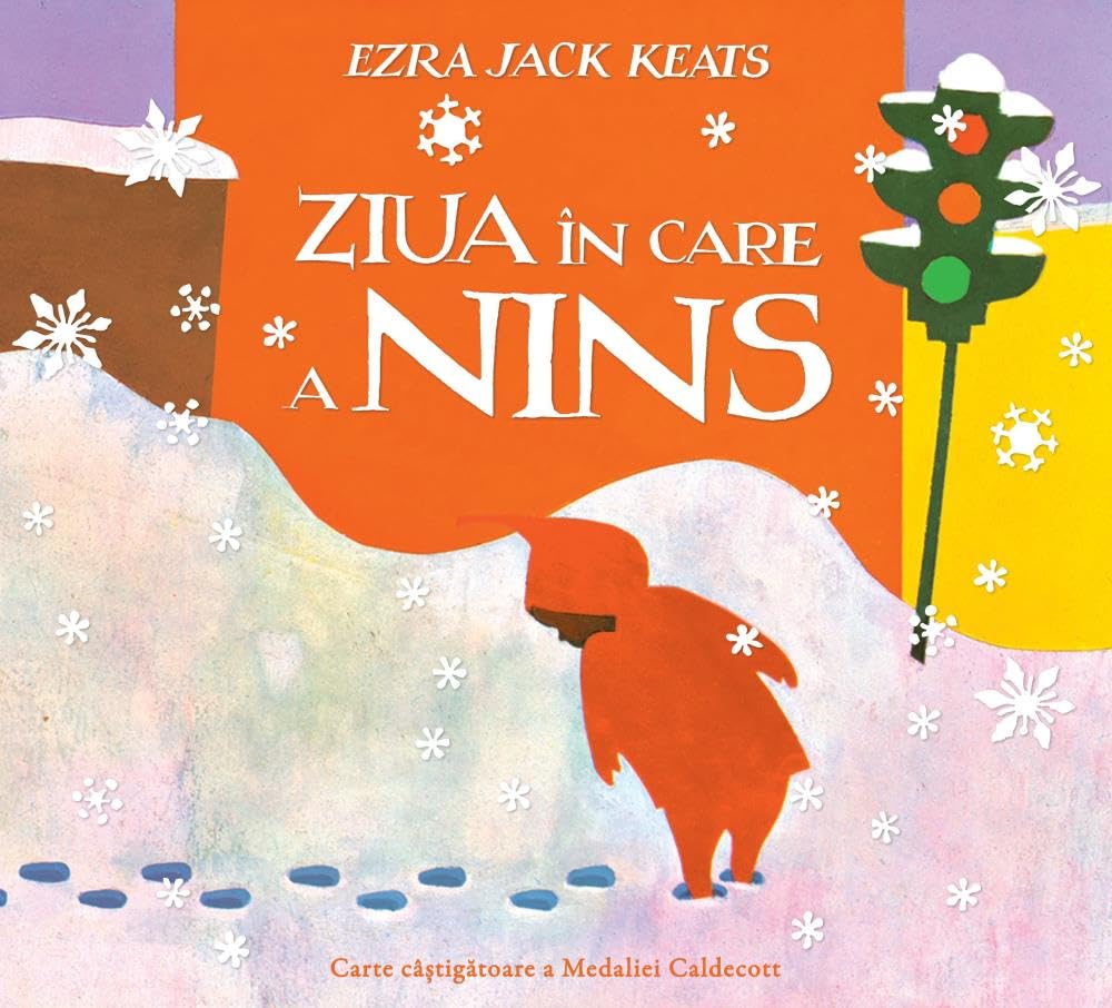 Ziua in care a nins book