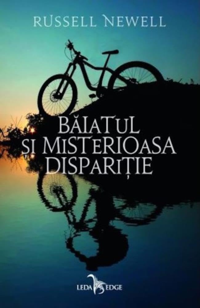 Baiatul si misterioasa disparitie Contemporary literature
