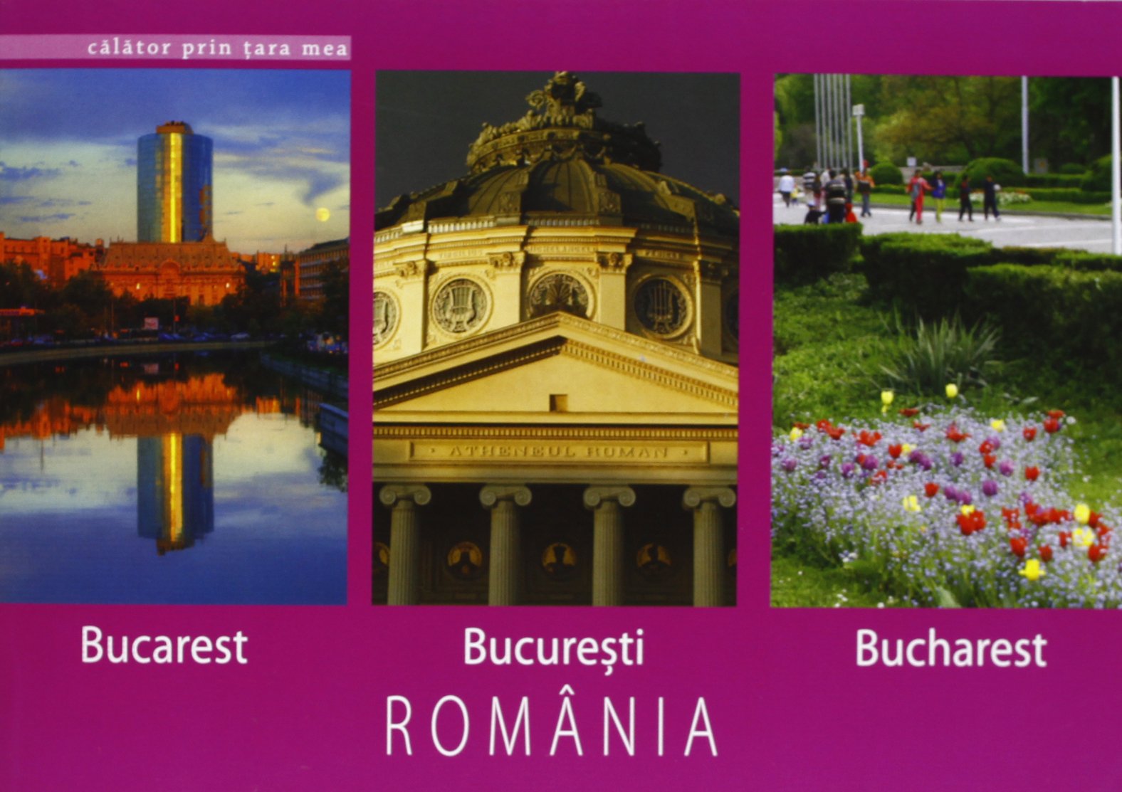 BUCURESTI book