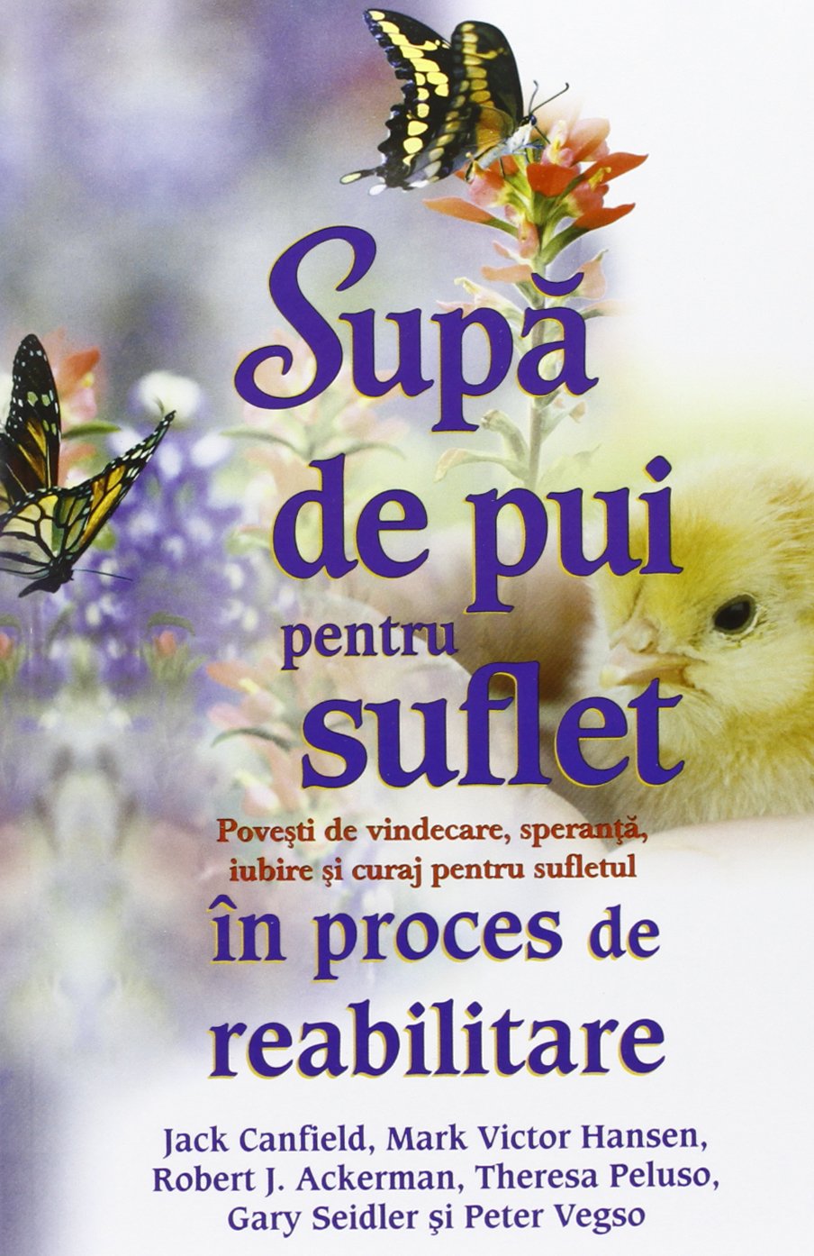 SUPA DE PUI PENTRU SUFLET IN PROCES DE REABILITARE Books