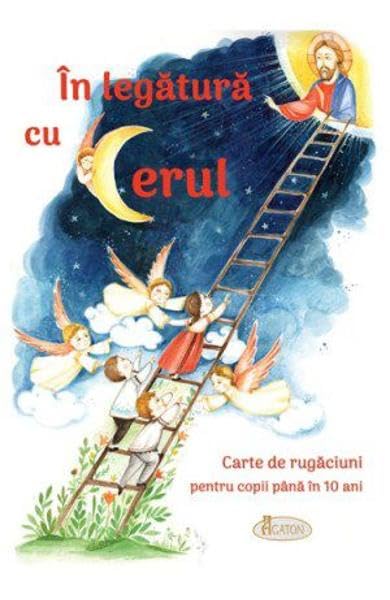 In Legatura Cu Cerul book