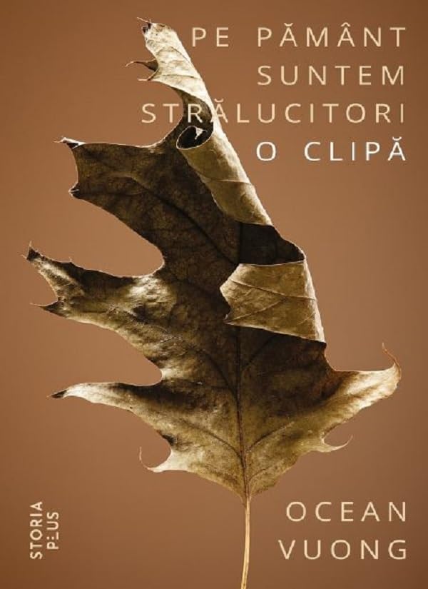Pe Pamant suntem stralucitori o clipa - Ocean Vuong book