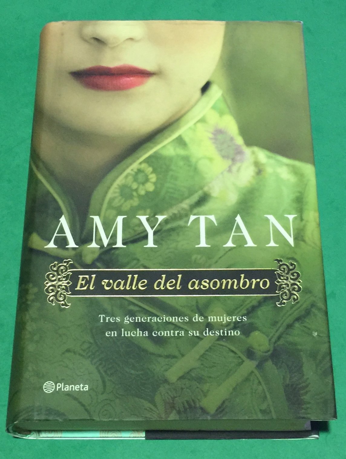 El valle del asombro Contemporary literature Books