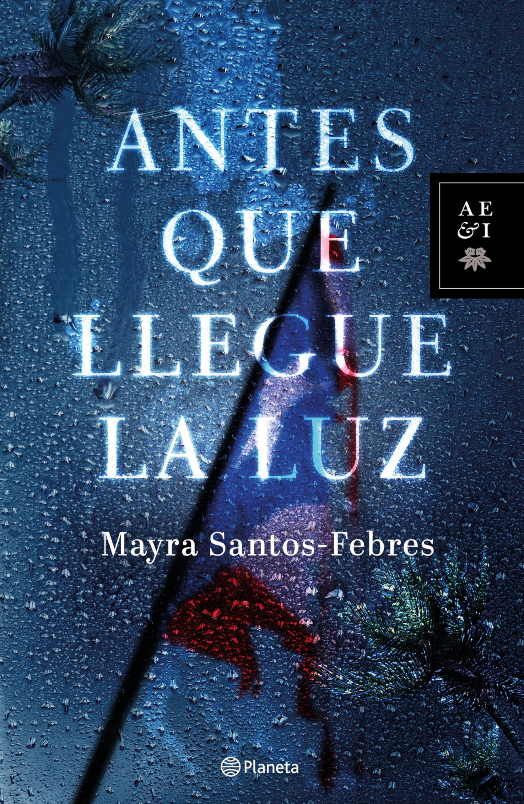 Antes que llegue la luz/ Before the Light Comes book