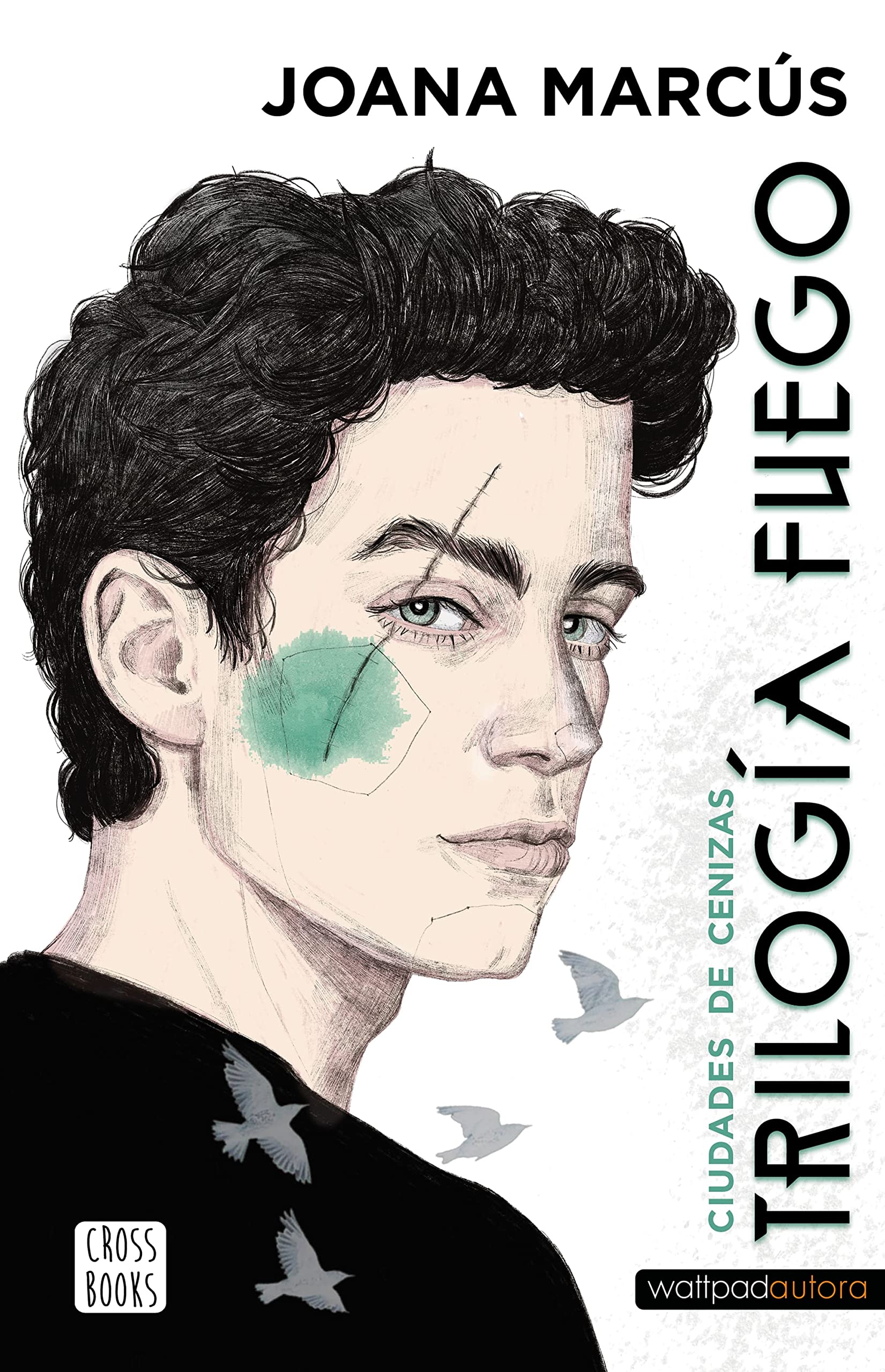 Trilogía Fuego 2. Ciudades de cenizas book