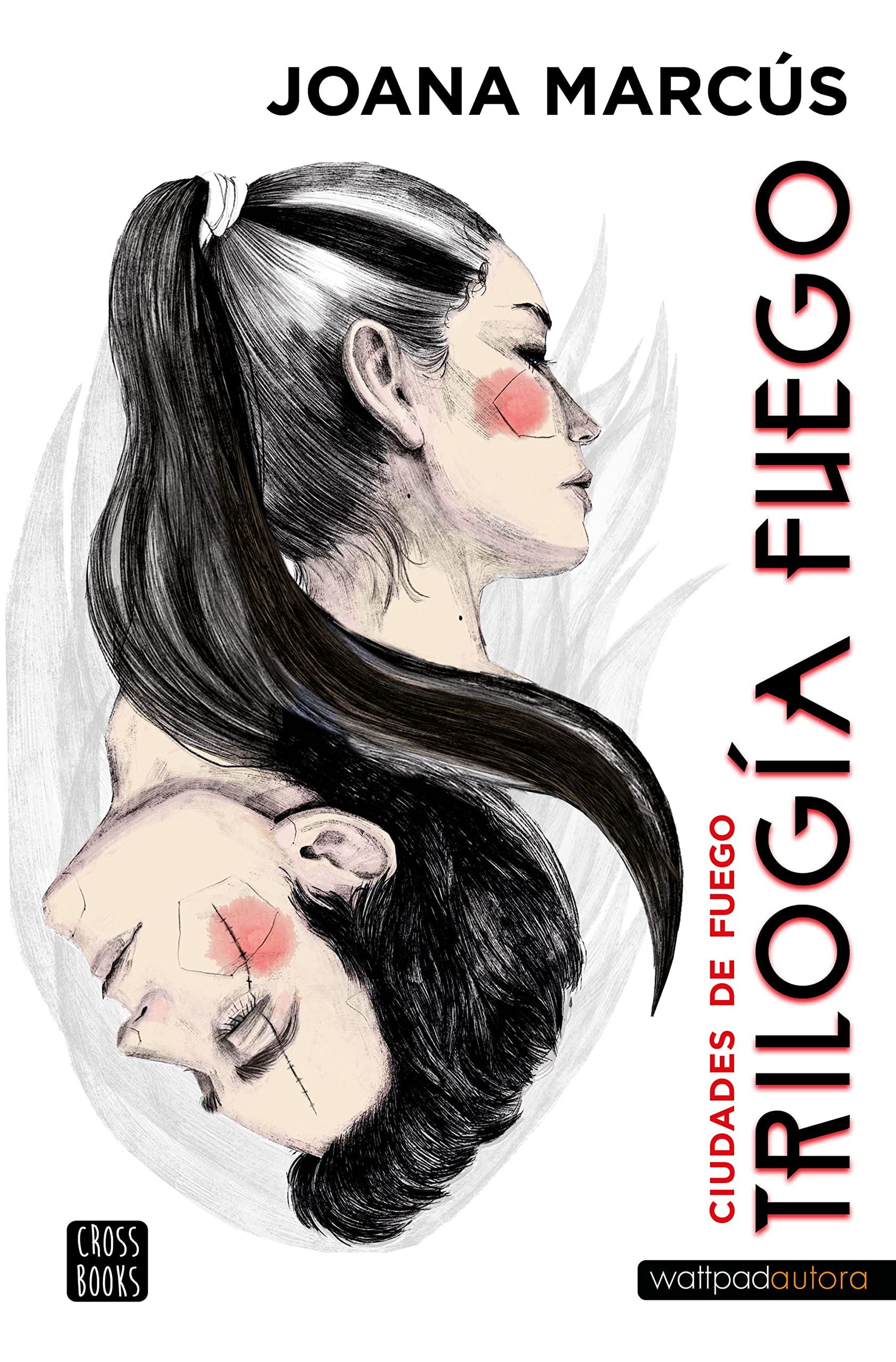 Trilogía Fuego 3: Ciudades de Fuego / Fire Trilogy 3: Cities of Fire Fiction