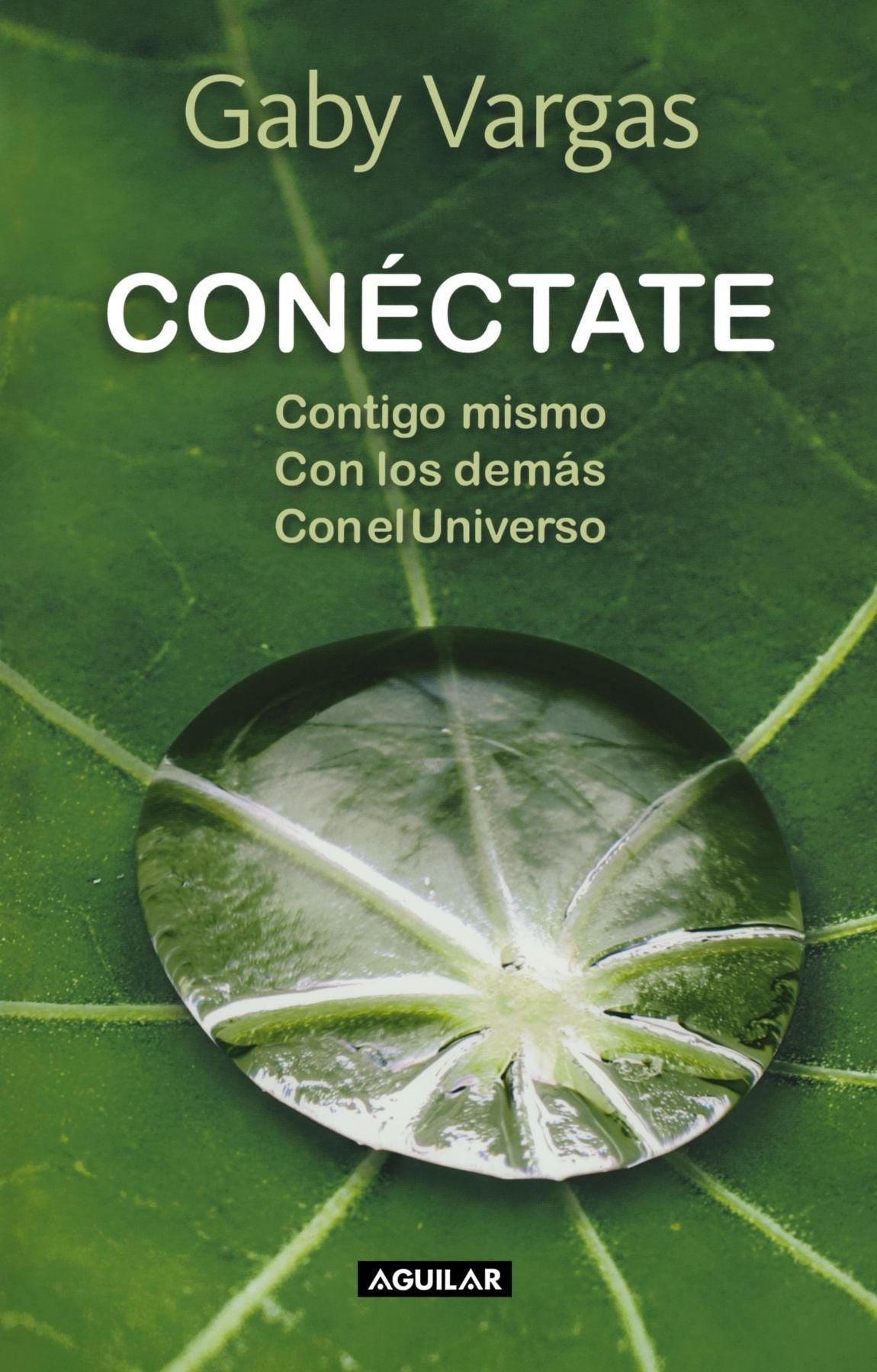 Conéctate / Connect: Contigo mismo con los demás con el universo / With Yourself with others with the universe book