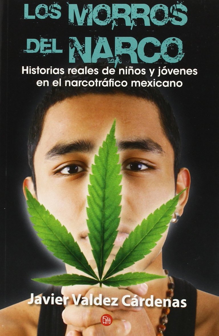 Los Morros del Narco / Narco Youth Social Sciences