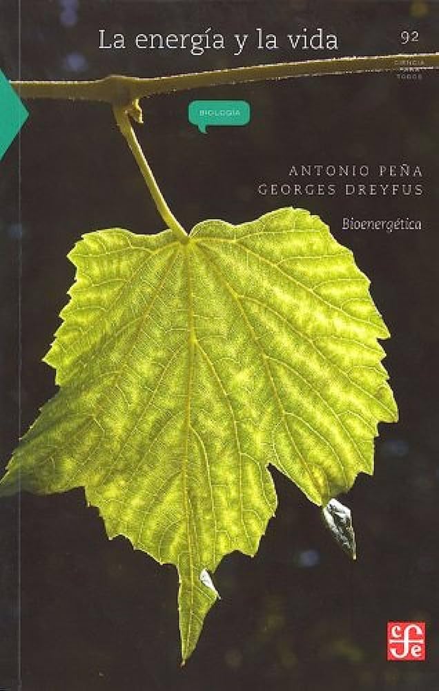 La Energia y la Vida: Bioenergetica = Energy and Life: Bioenergetica / Bioenergetics (La Ciencia Para Todos, Band 92) Mathematics