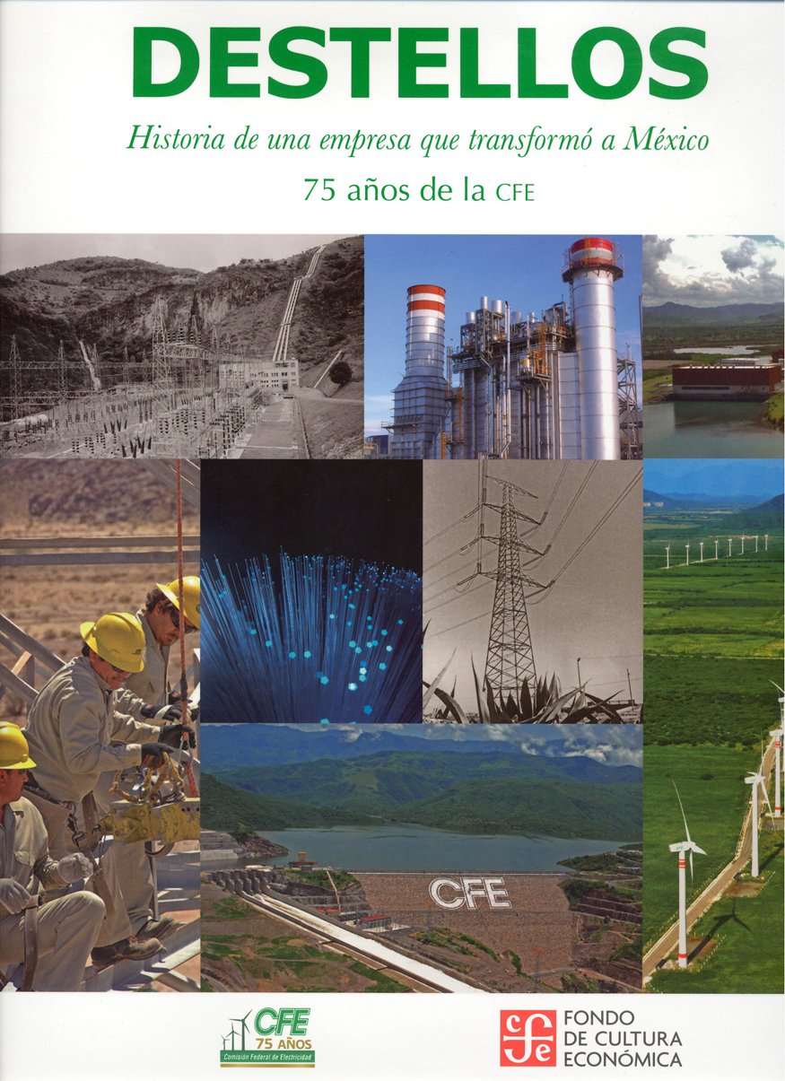 Destellos. Historia de una empresa que transformo a México (Spanish Edition) Books