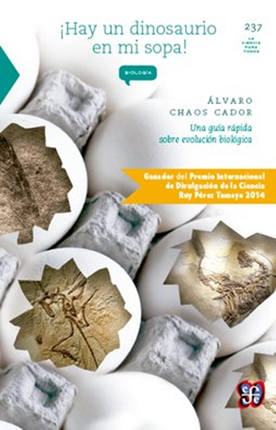 ¡Hay un dinosaurio en mi sopa! (Spanish Edition) Books