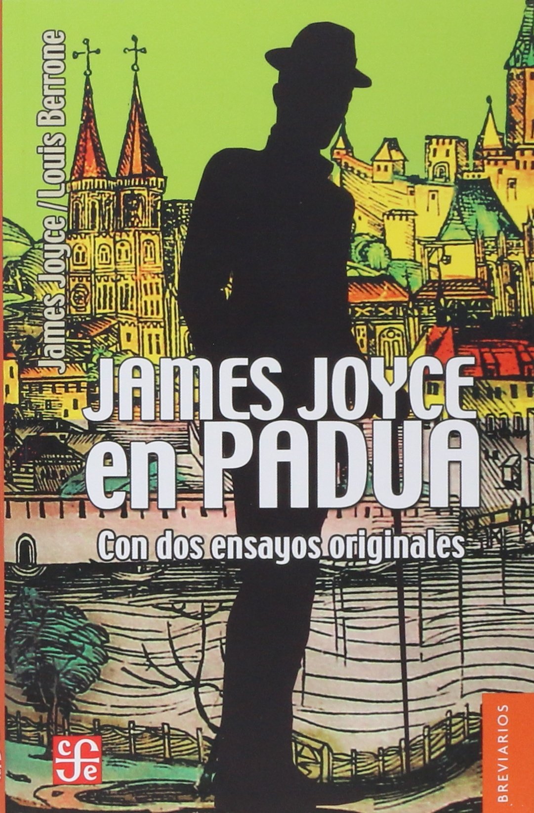 James Joyce en Padua: Con dos ensayos originales book