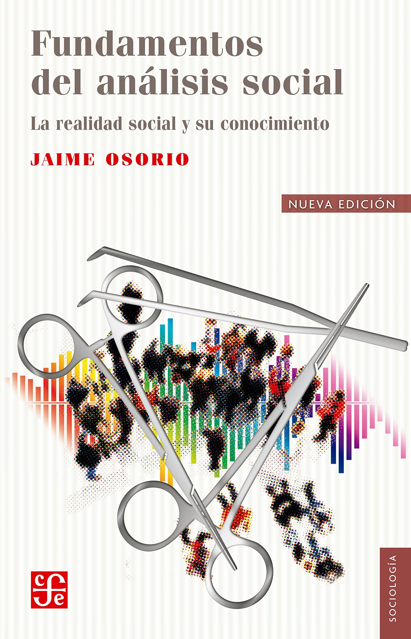 Fundamentos del analisis social/ Fundamentals of Social Analysis: La Realidad Social Y Su Conocimiento/ the Social Reality and Its Knowledge Social Sciences
