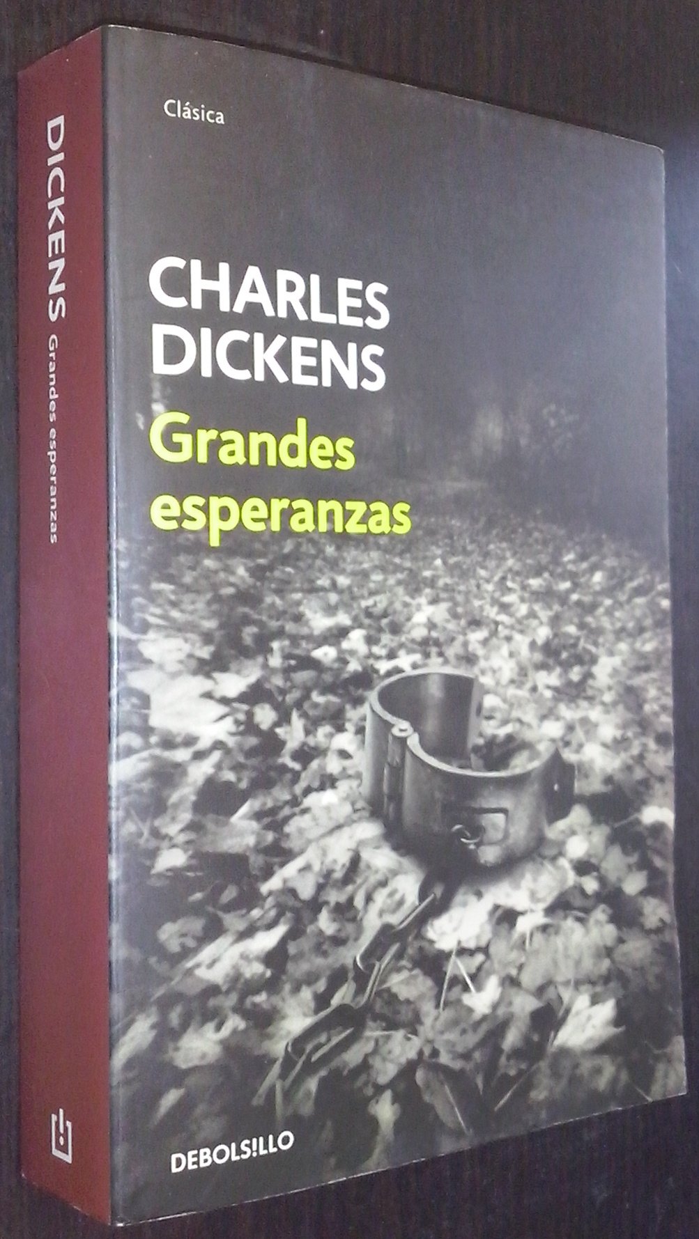 Grandes Esperanzas Books