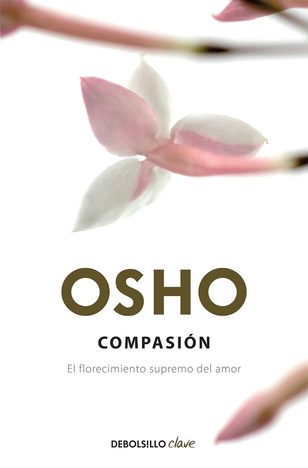 Compasion Religion & Esotericism