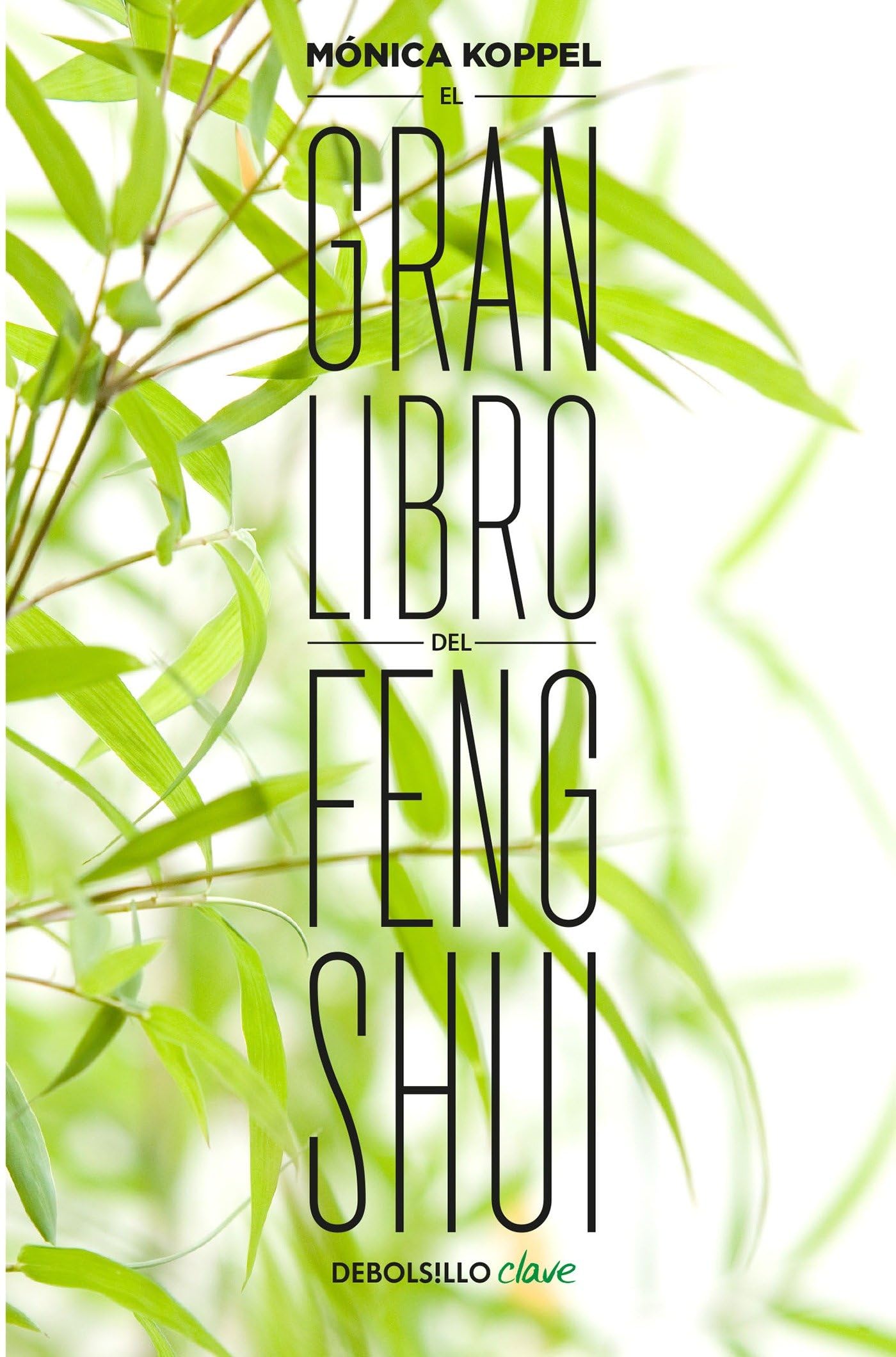 El Gran Libro del Feng Shui / The Big Book of Feng Shui Contemporary literature