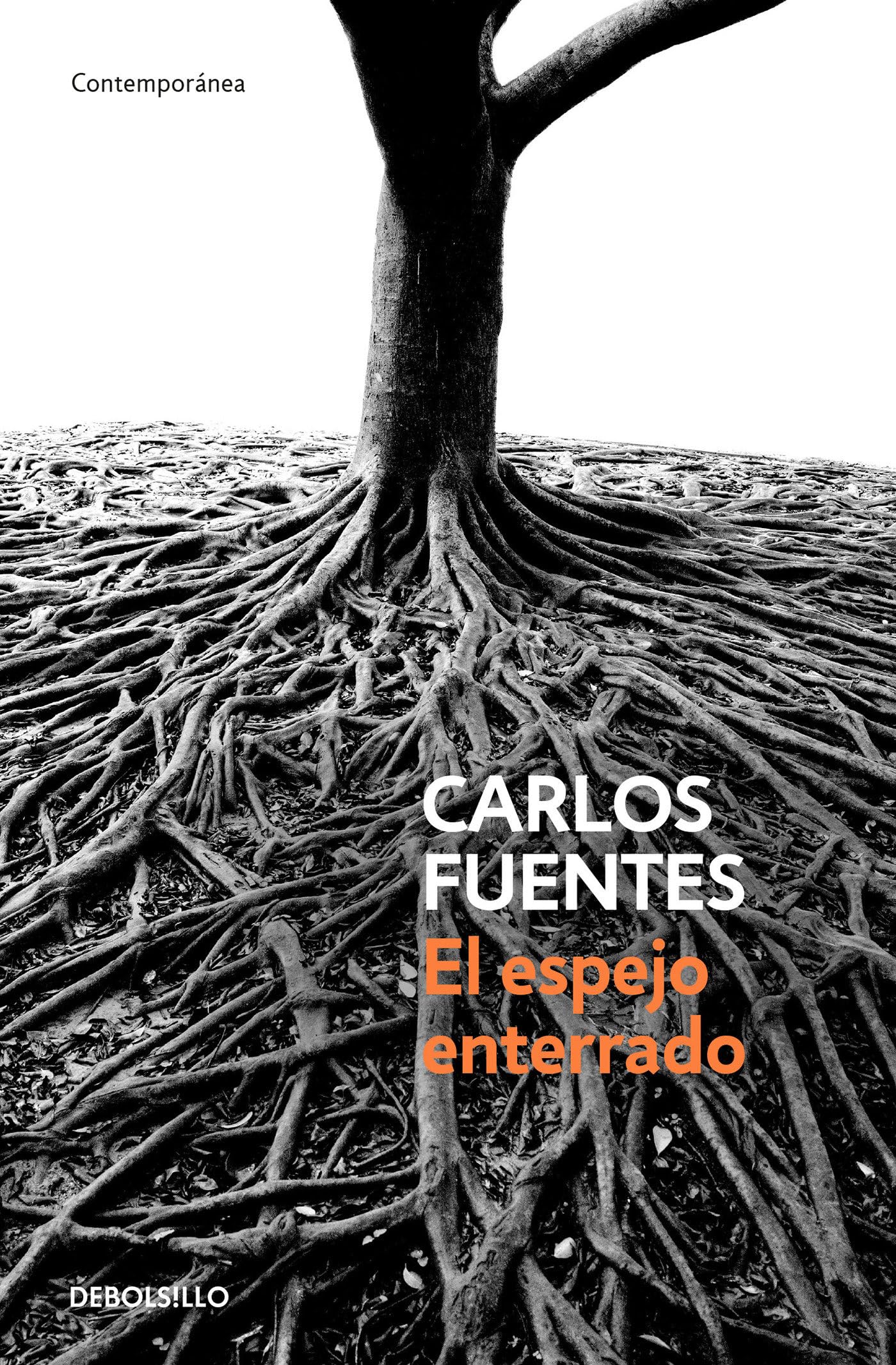 El espejo enterrado / The Buried Mirror Politics & History