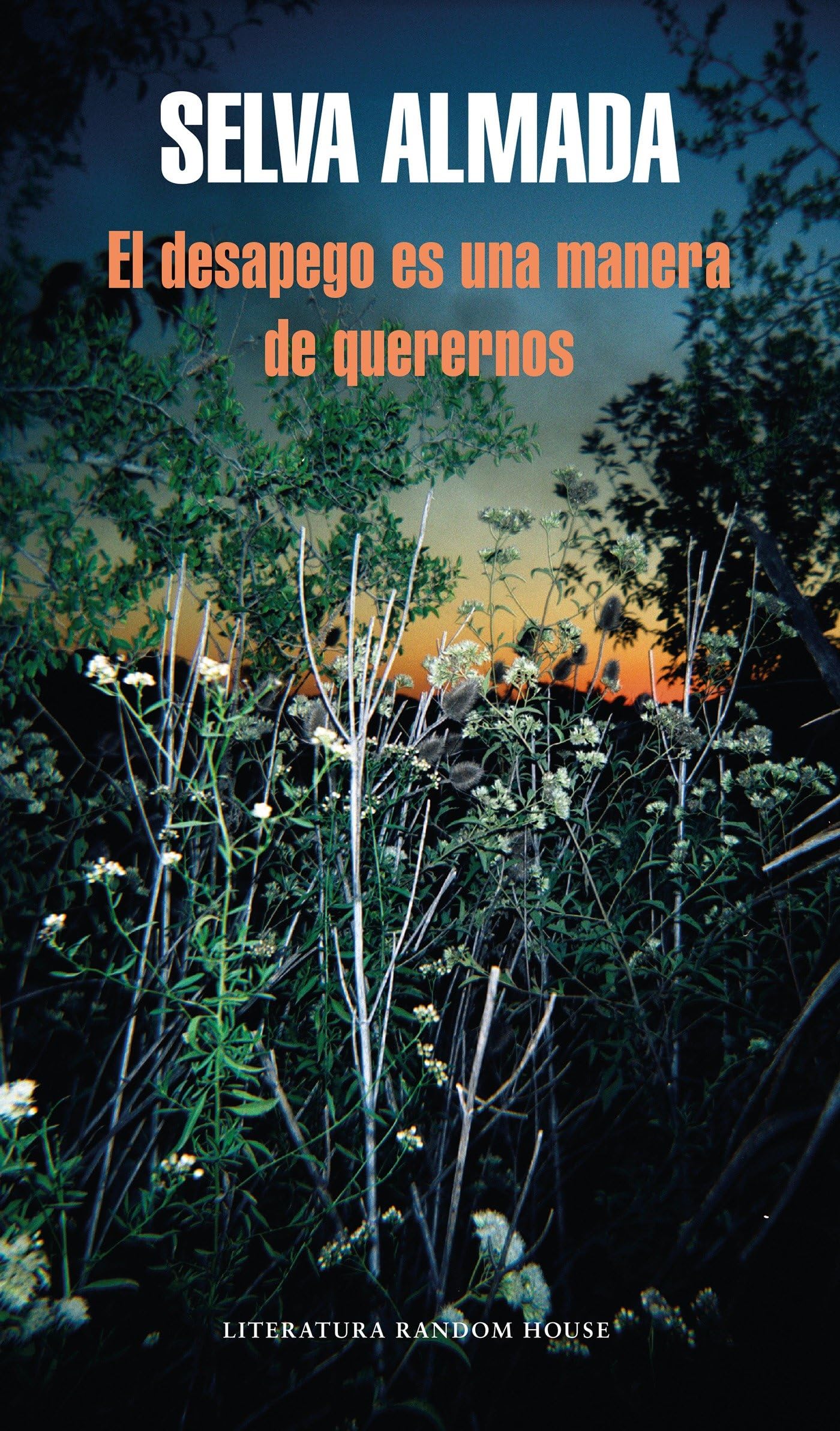 El desapego es una forma de quererse / Detachment Is a Form of Loving Oneself Essays & Short Stories