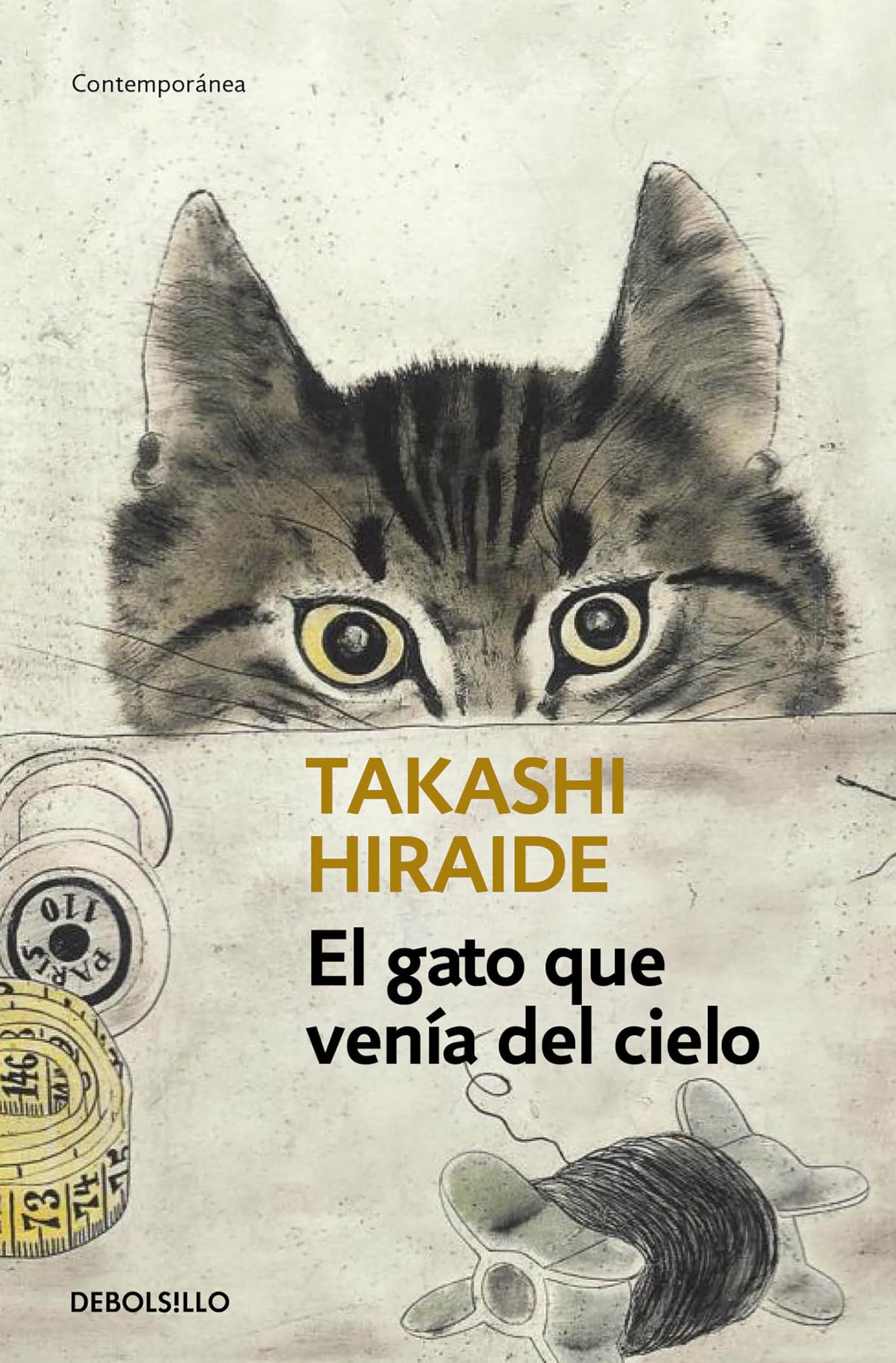 El Gato Que Venía del Cielo / The Guest Cat book