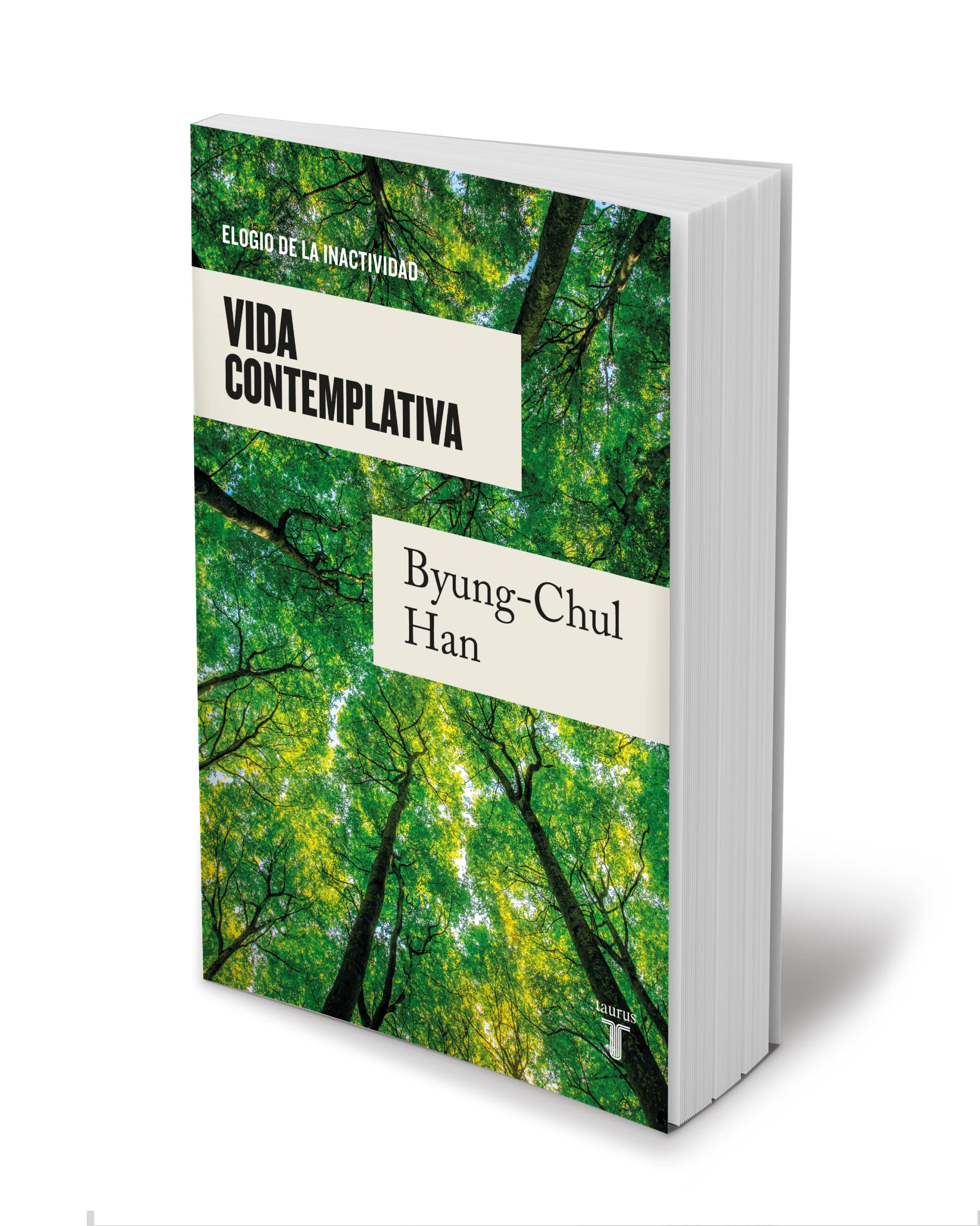 Vida Contemplativa: Elogio de la Inactividad / Contemplative Life: A Praise to I Dleness Philosophy