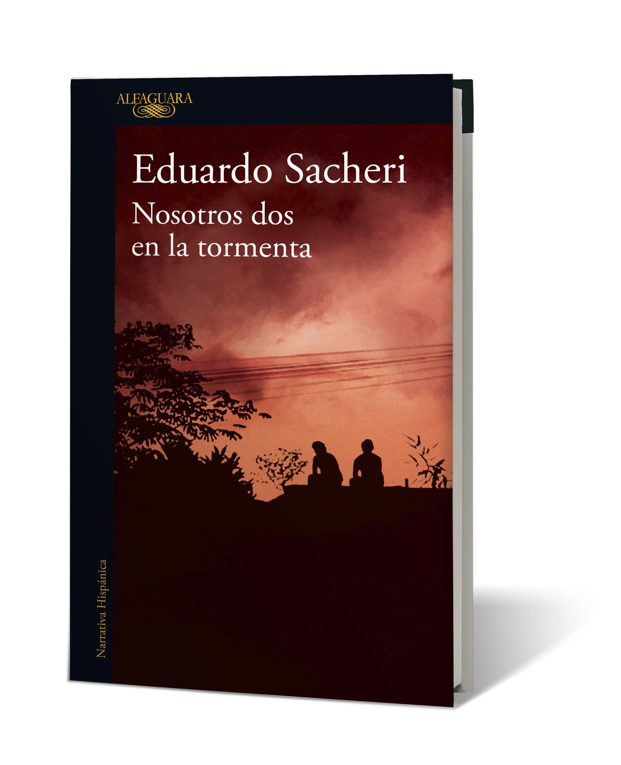 Nosotros dos en la tormenta/ Us Two in the Storm Historical Fiction