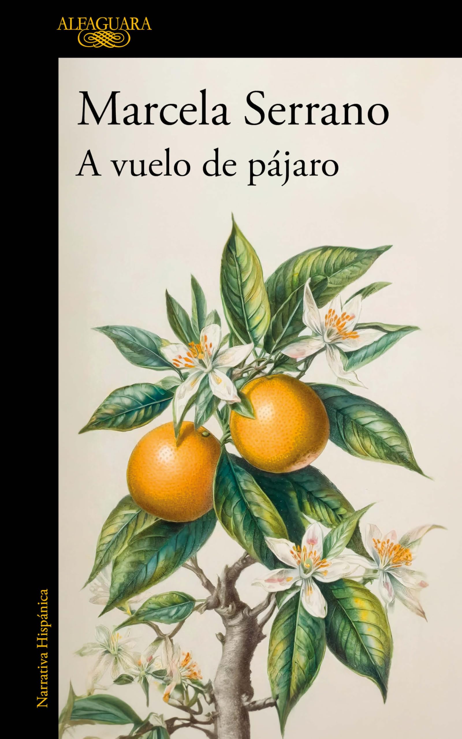 A vuelo de pájaro. Cuadernos / A Birds-Eye View: Cuadernos/ Handbook Contemporary literature