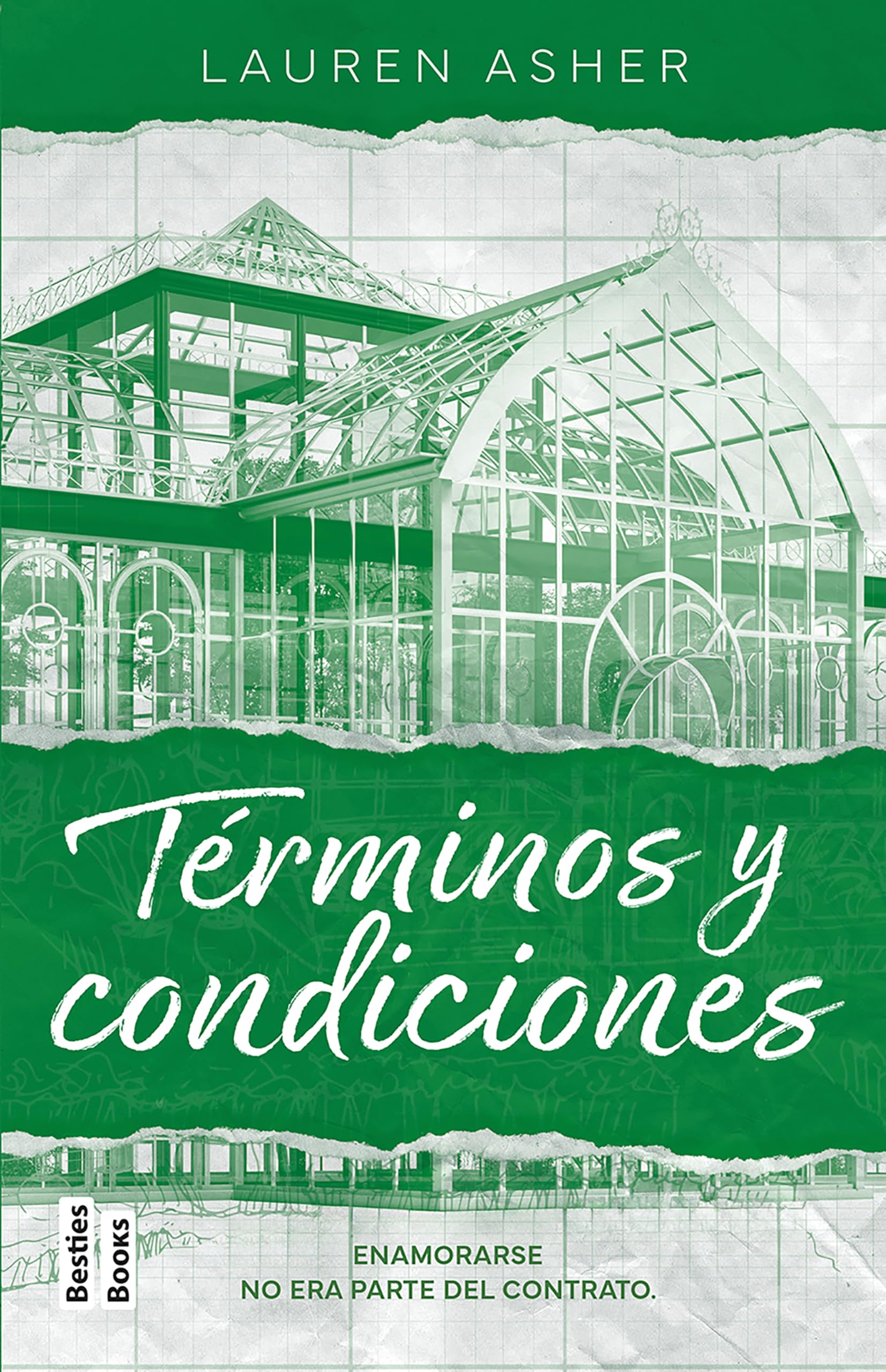 Términos Y Condiciones / Terms and Conditions (Light Novel) (Billonarios / Dreamland Billionaires, Band 2) Romance