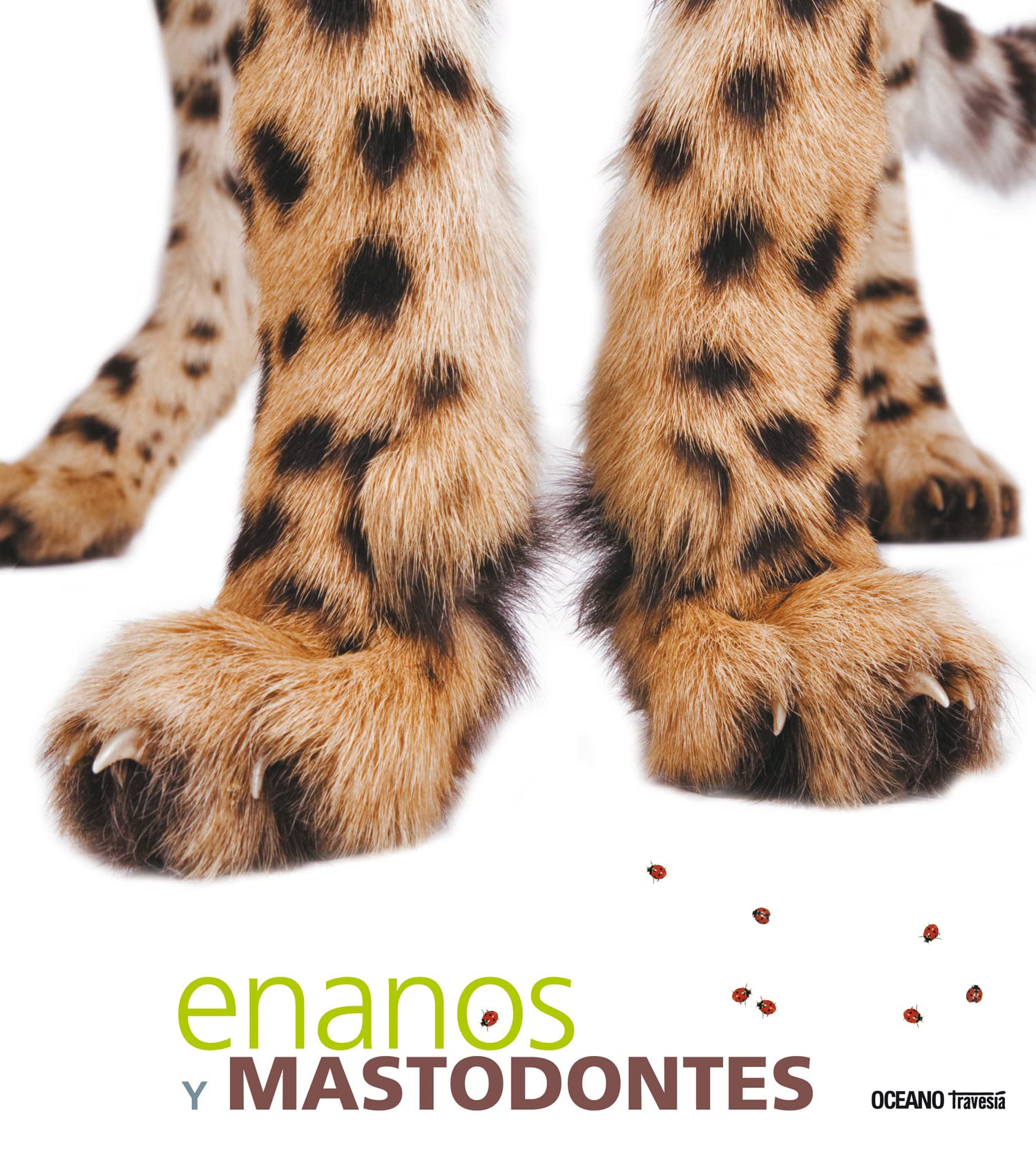 Enanos Y Mastodontes (Primeras Travesías) Non-fiction