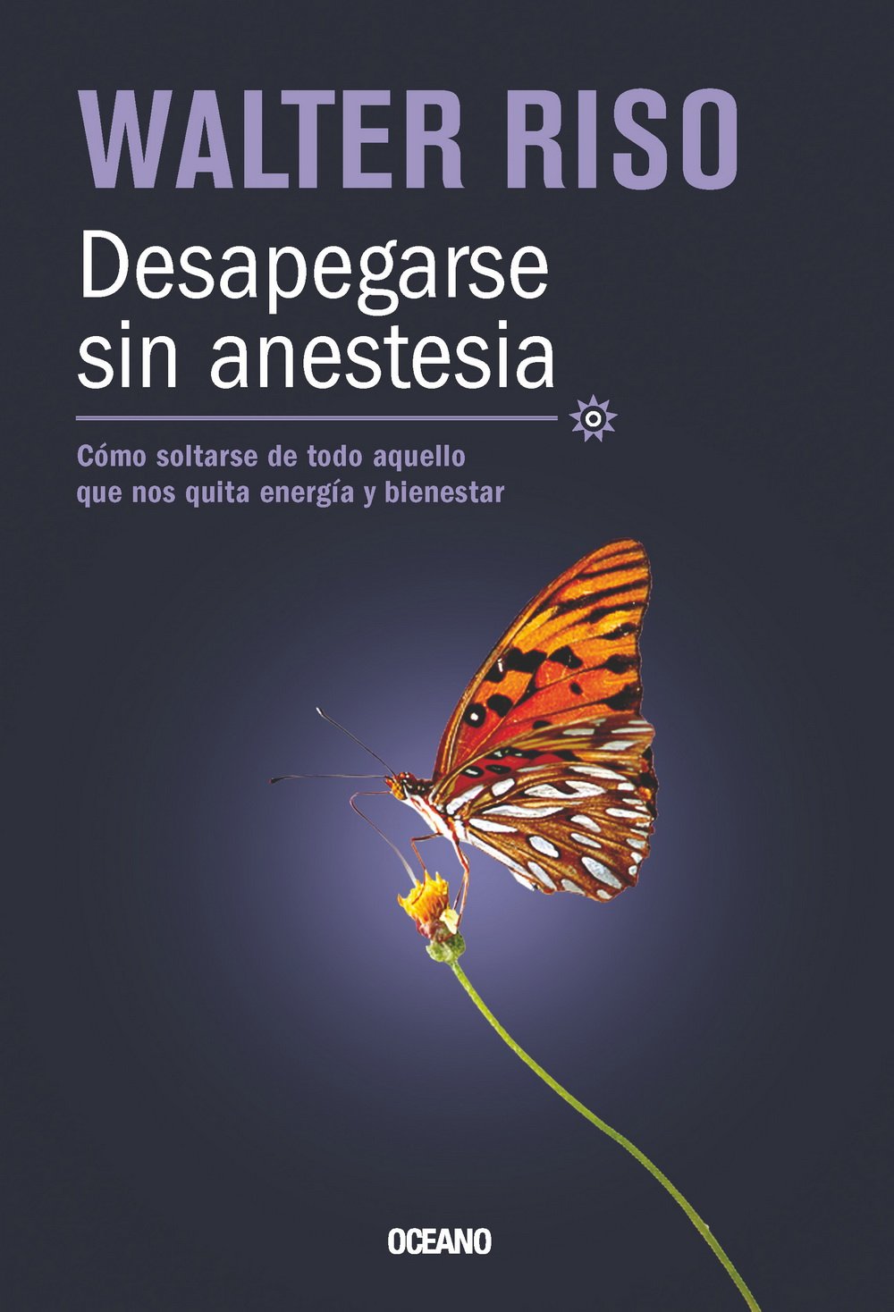 Desapegarse sin anestesian / Detachment without anesthesia: Como soltarse de todo aquello que nos quita energia y bienestar / How to let go of everything that takes away energy and wellbeing book